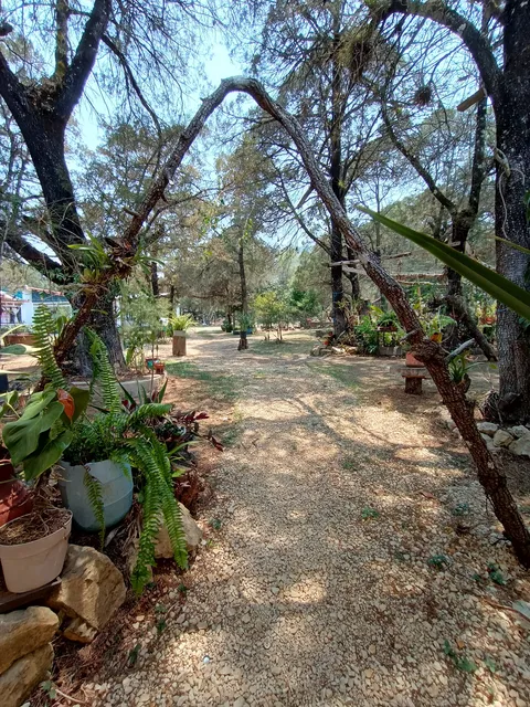 Real Jardín La casa de la Barbacoa image 4
