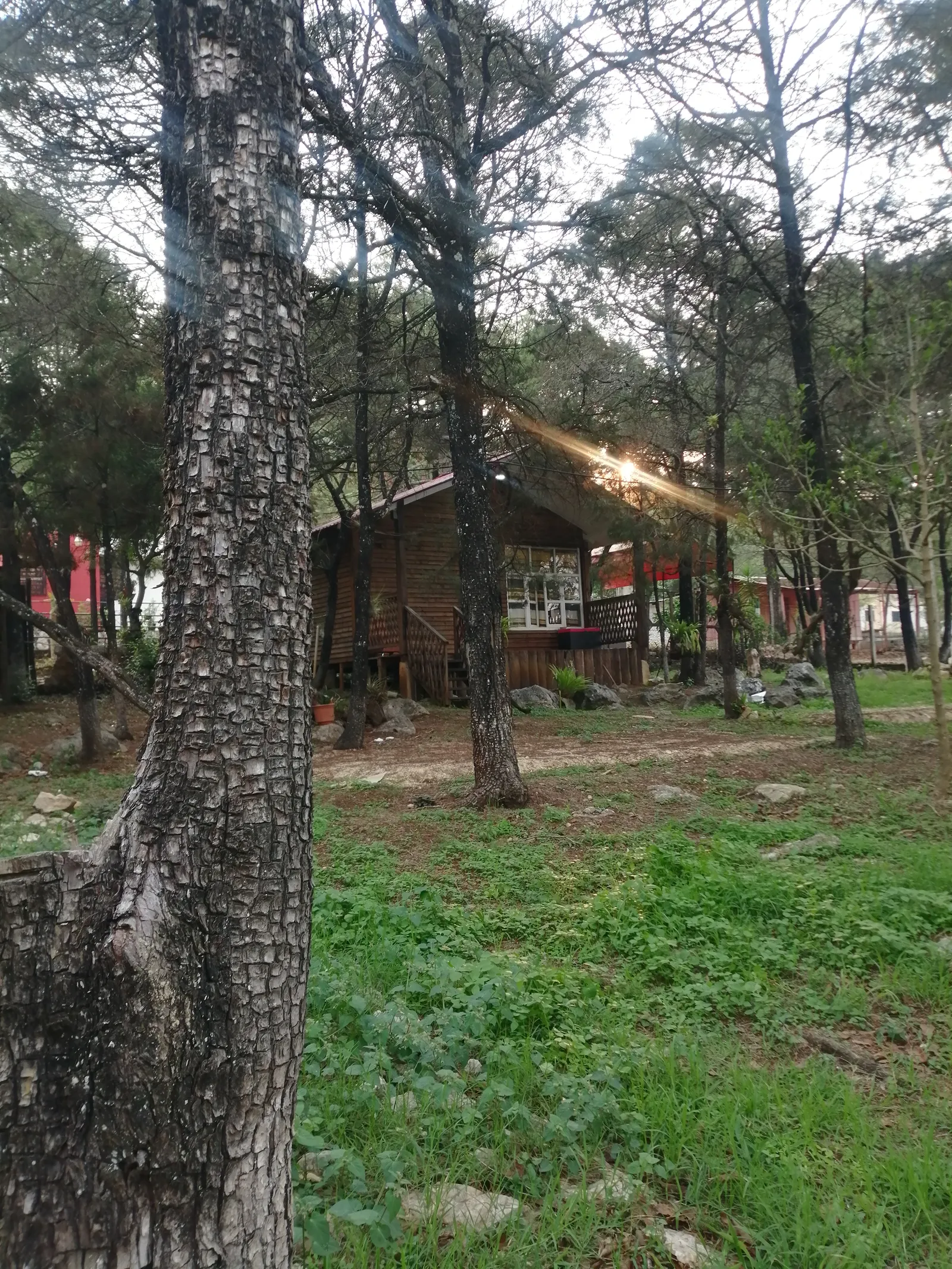 Real Jardín La casa de la Barbacoa image 5