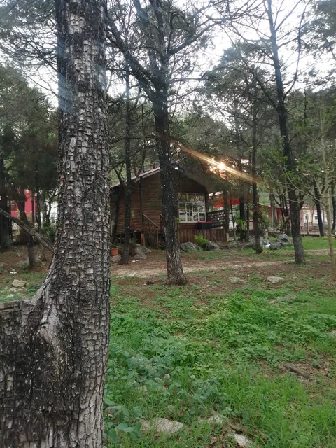 Real Jardín La casa de la Barbacoa image 5