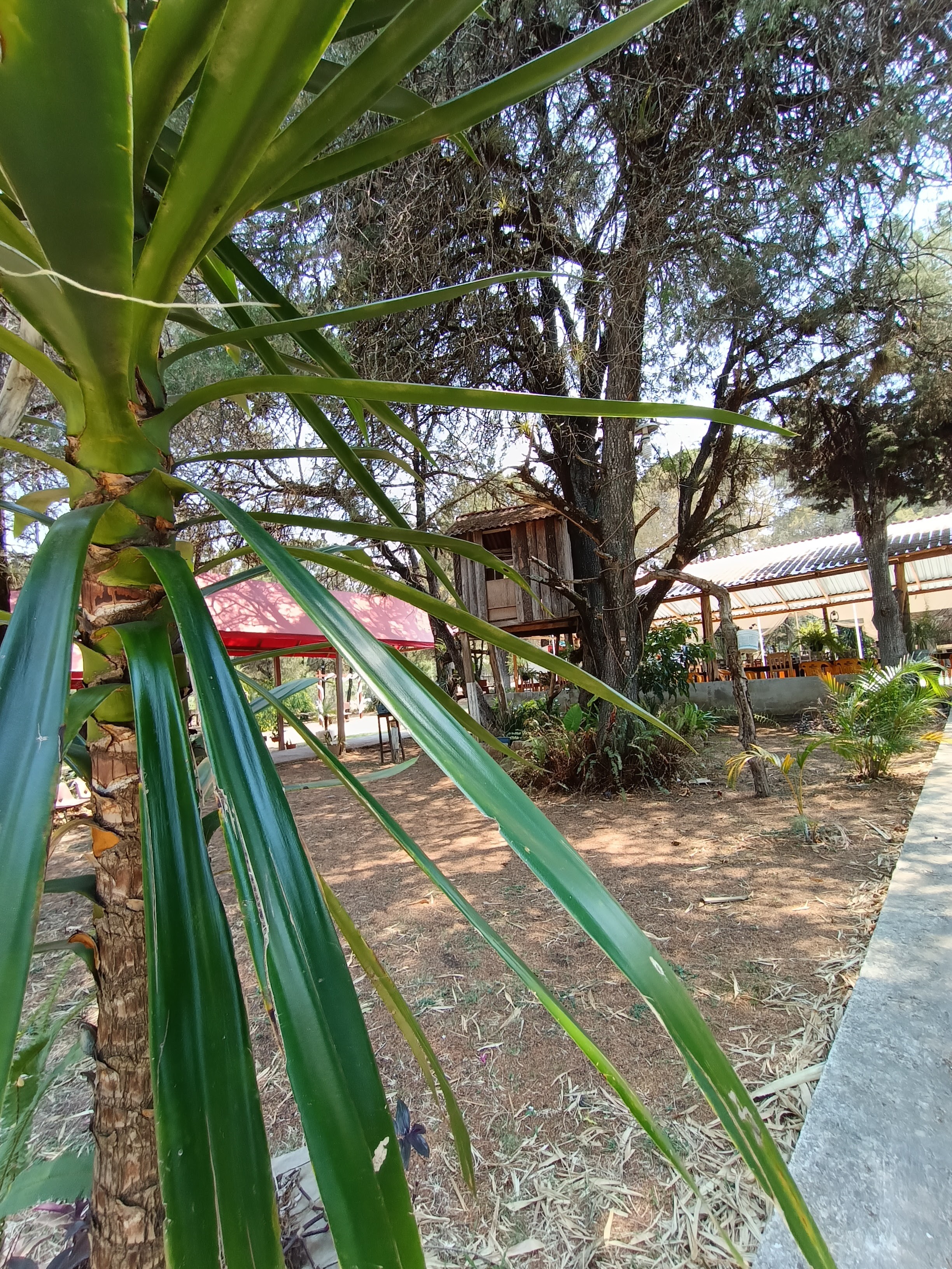 Real Jardín La casa de la Barbacoa image 9