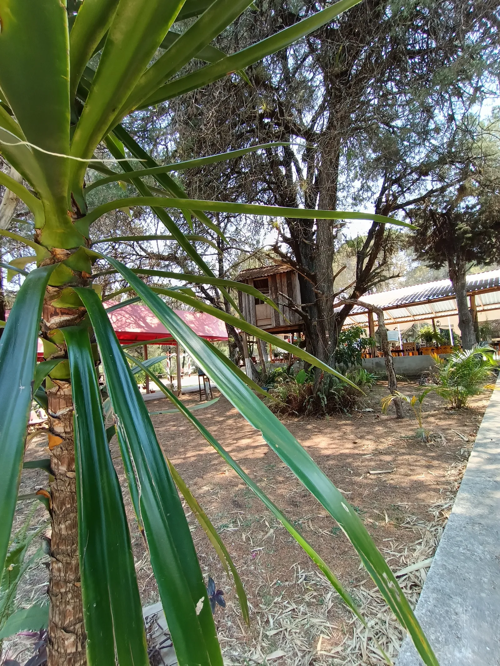 Real Jardín La casa de la Barbacoa image 9