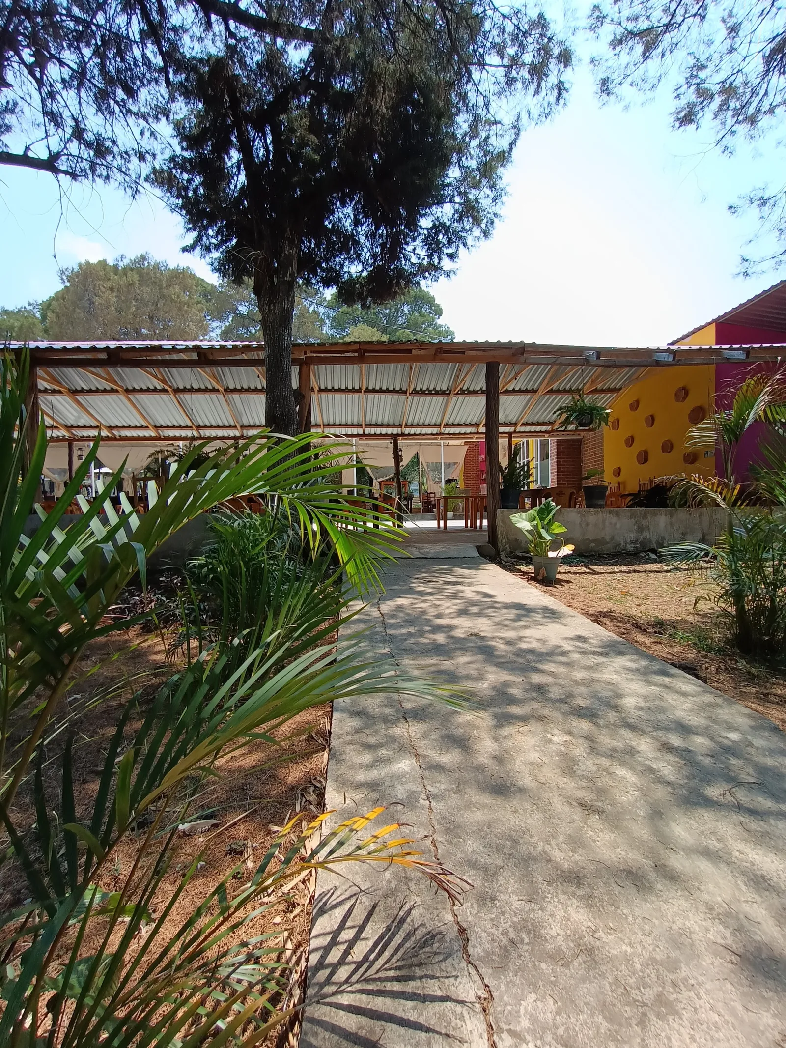 Real Jardín La casa de la Barbacoa image 10
