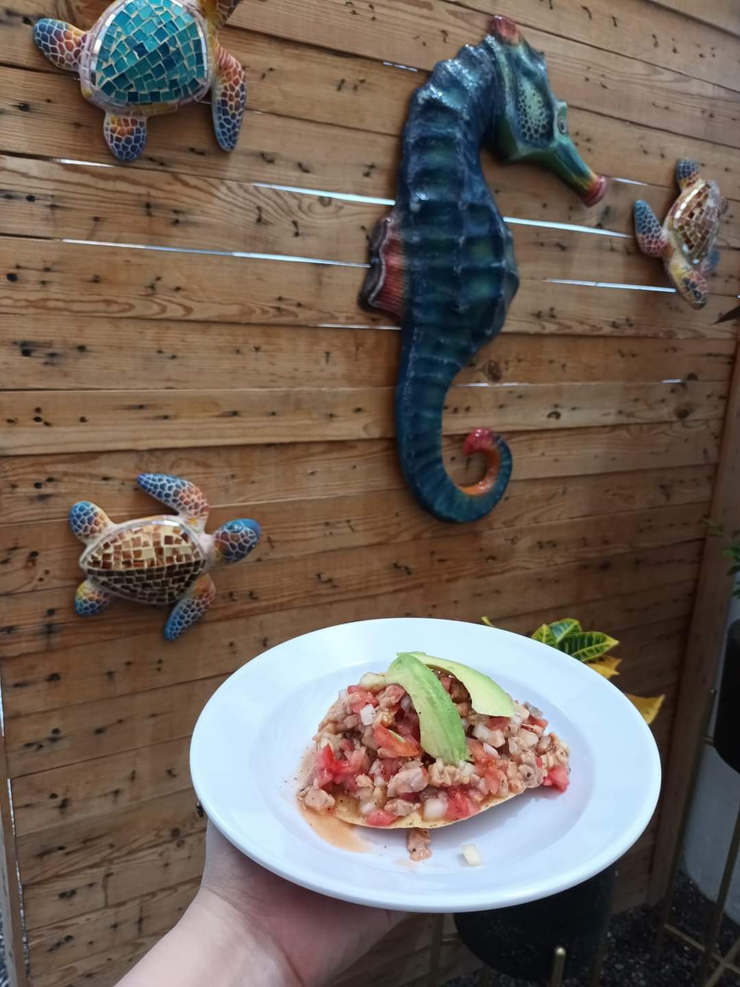 Mariscos LA PLAYITA image 9