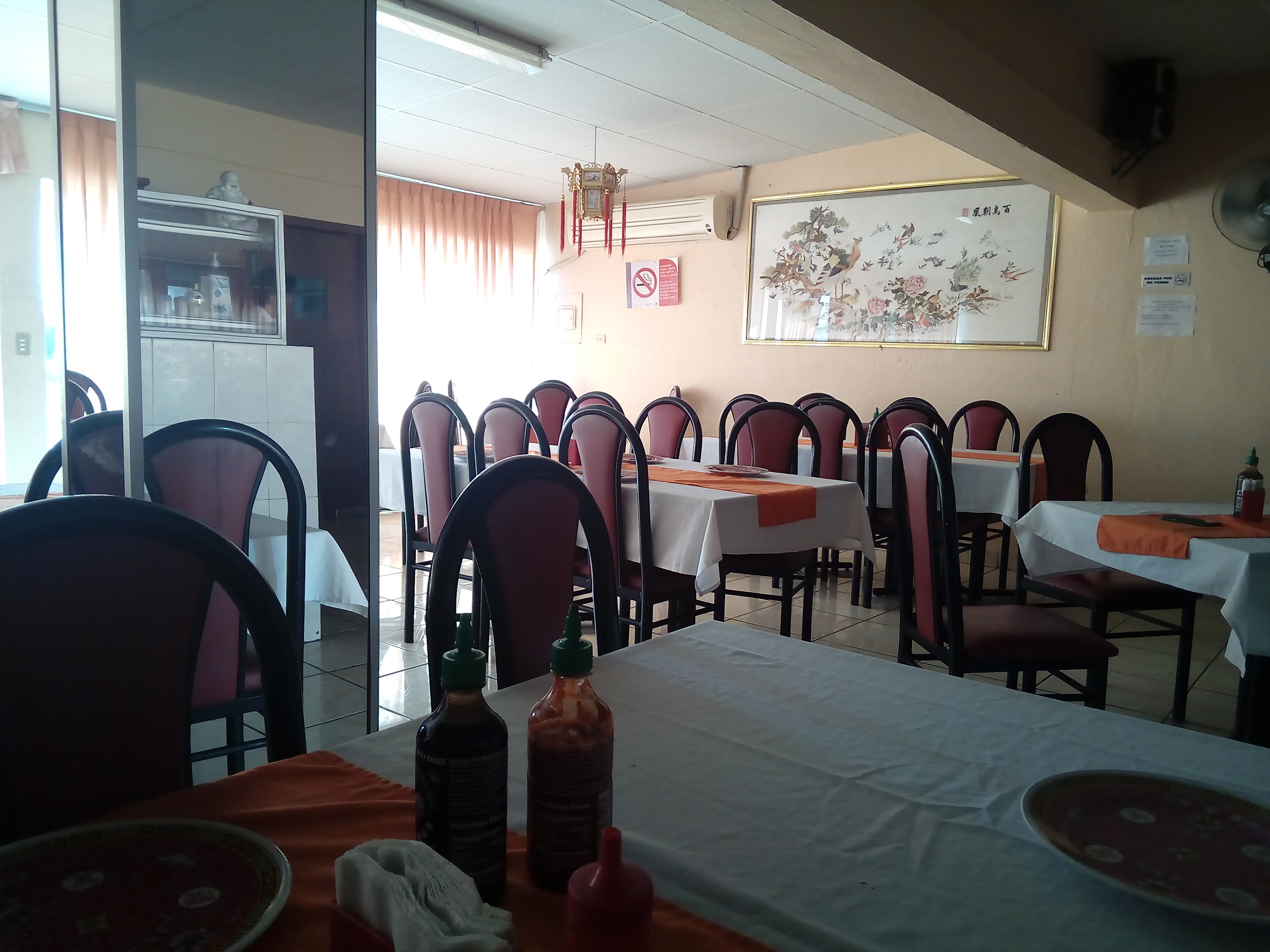 Nuevo Dragon image 9