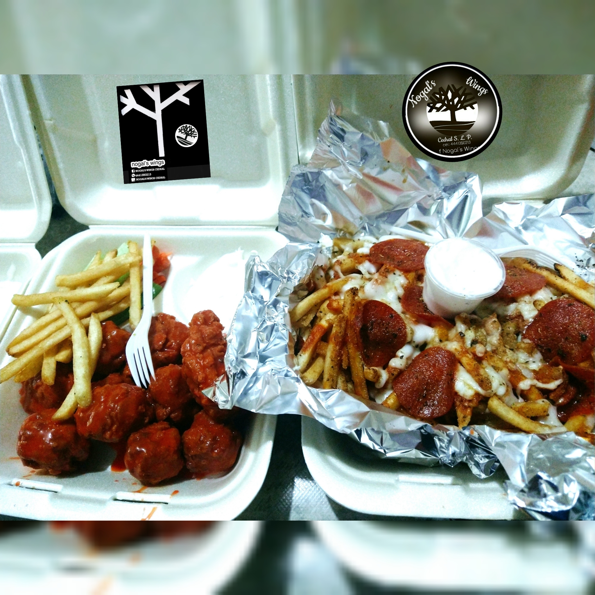 Nogal's Wings Cedral image 8