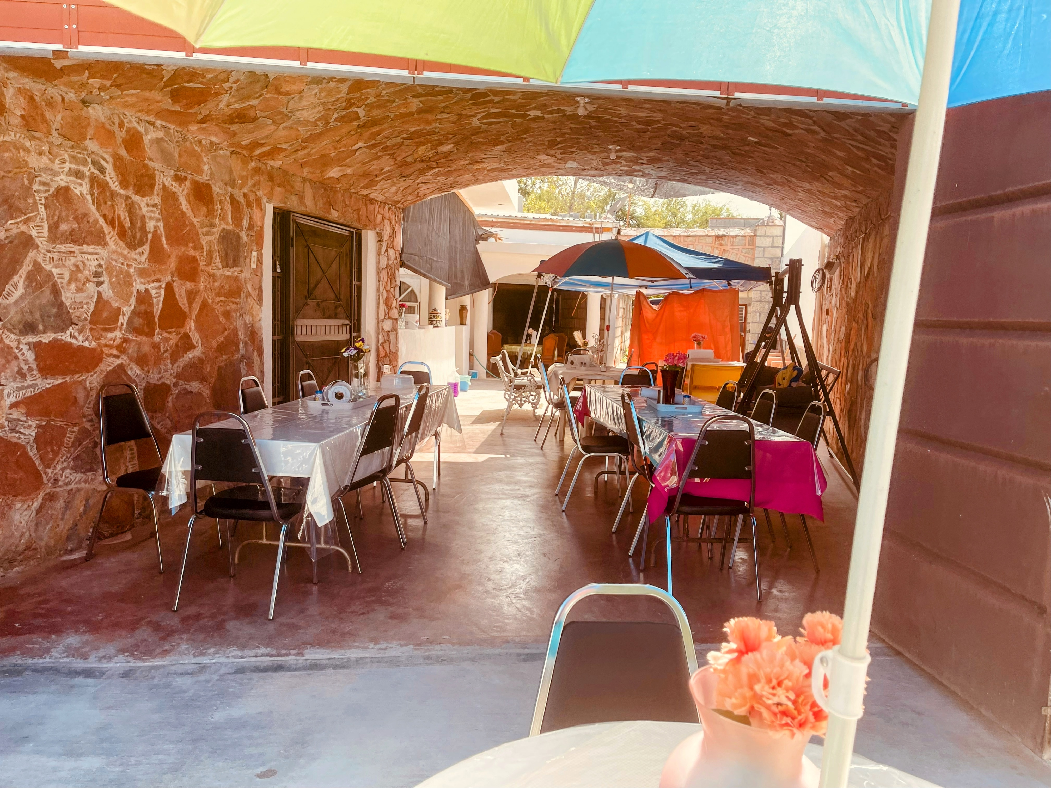 TOSTADAS SIBERIA "LULU" image 4