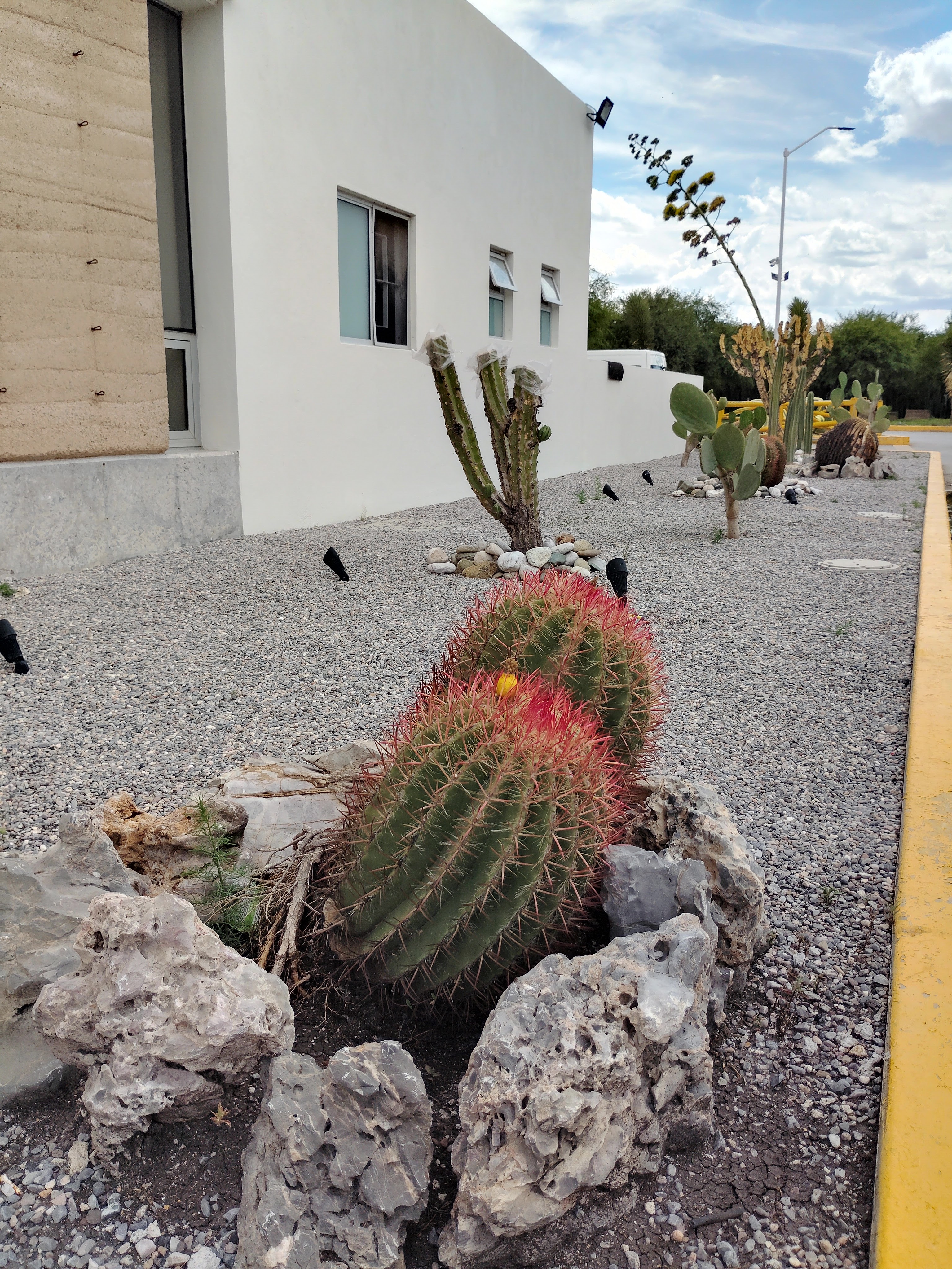 Tortas Las Sevillanas Sucursal Norte image 5