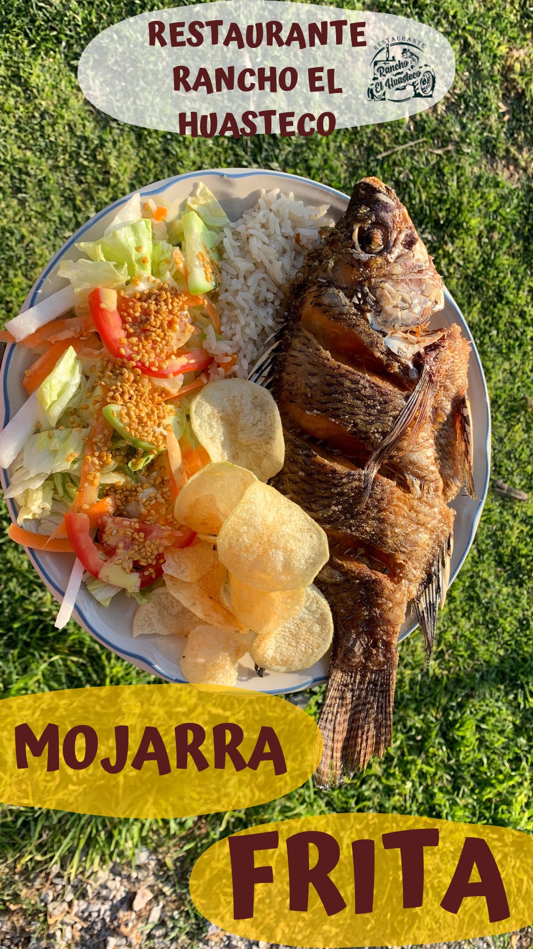 Restaurante Rancho El Huasteco image 6