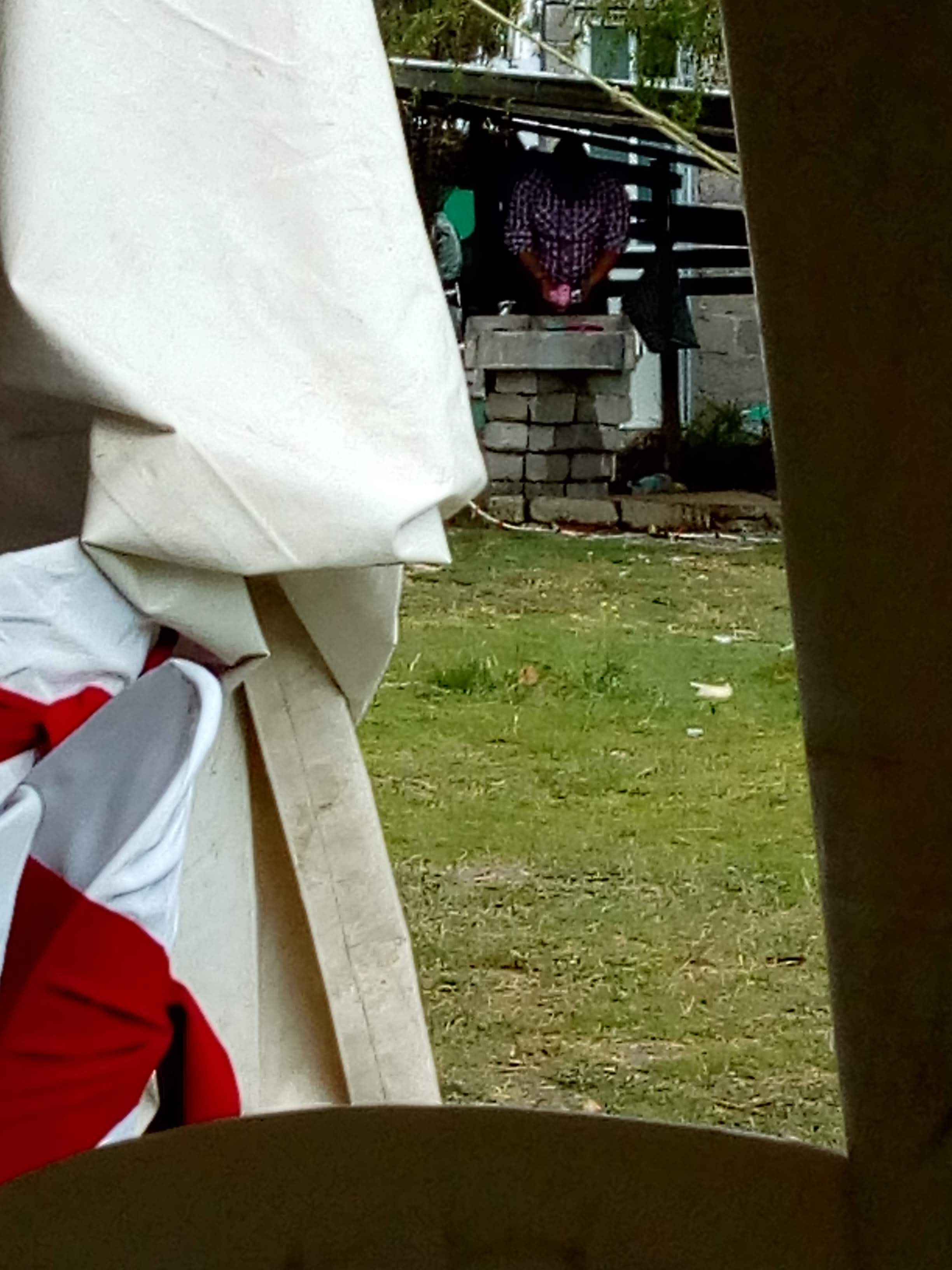 Gelatinas y Congeladas Peter image 2