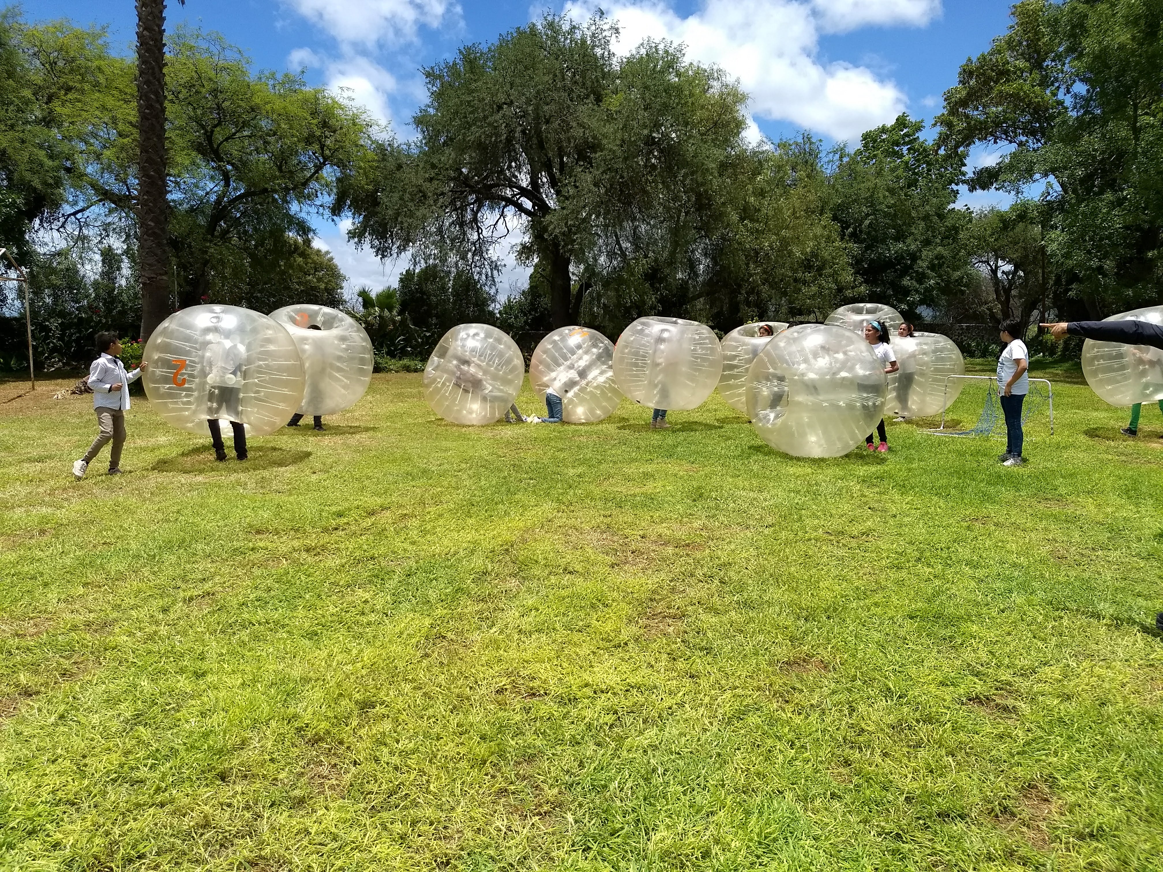 Salón y jardín " LA CRUZ" image 2