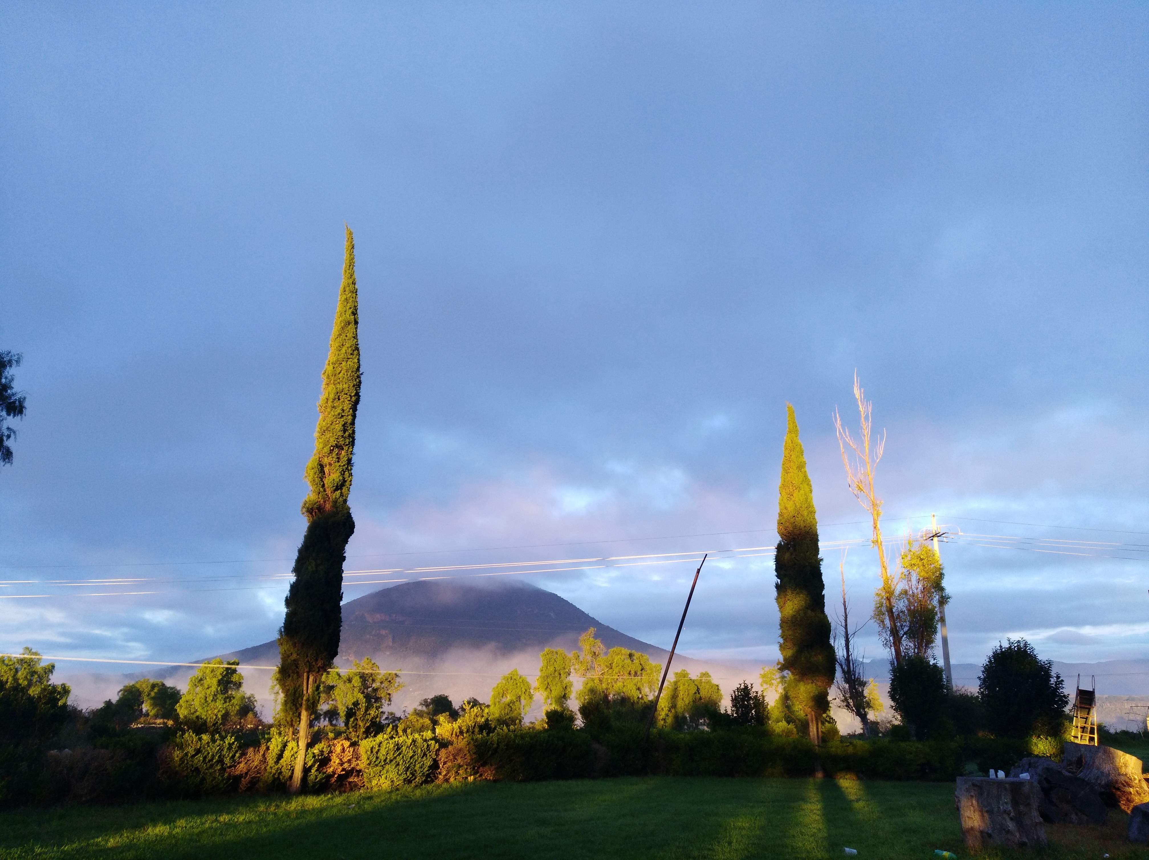 Salón y jardín " LA CRUZ" image 5
