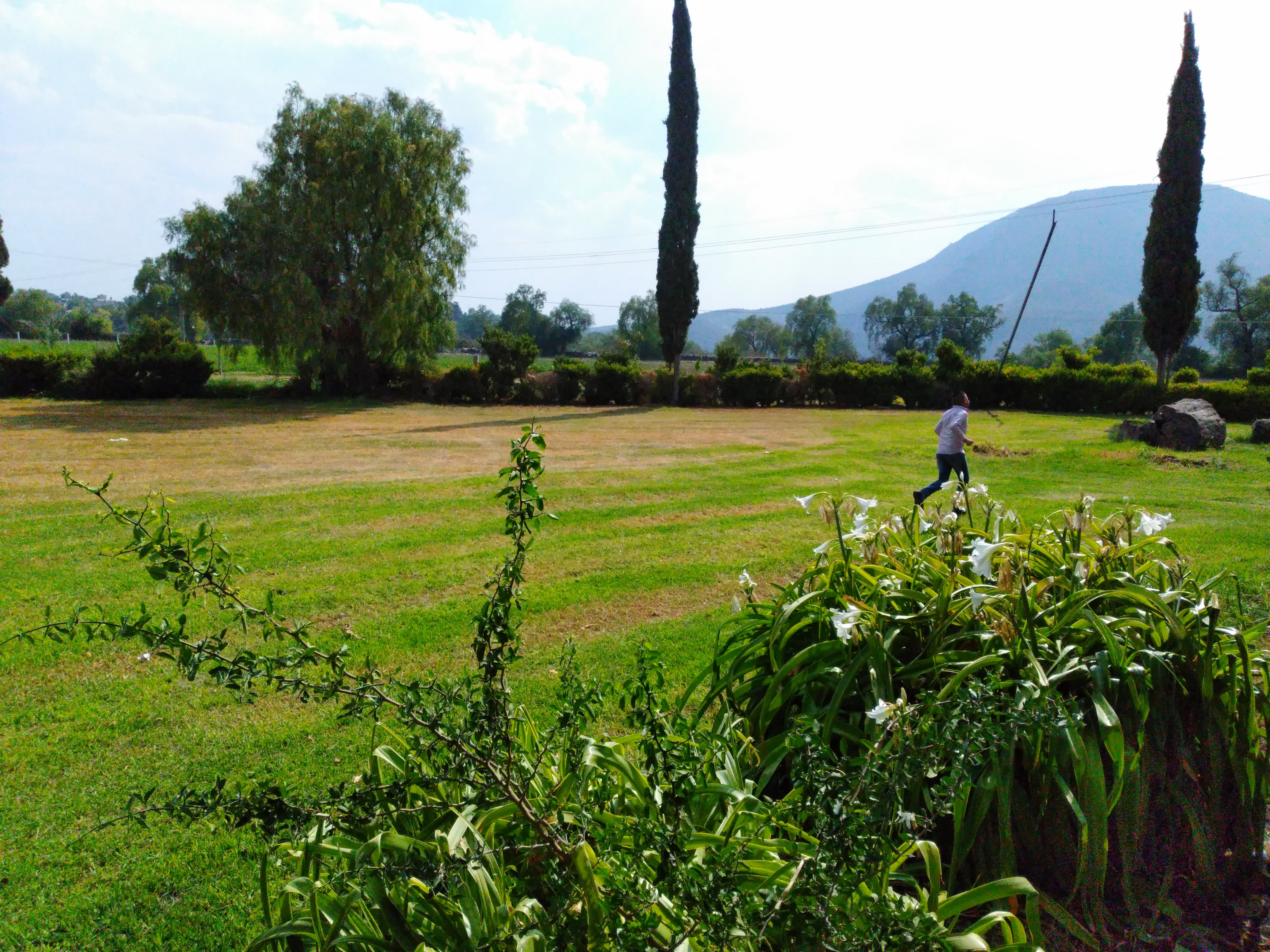 Salón y jardín " LA CRUZ" image 6