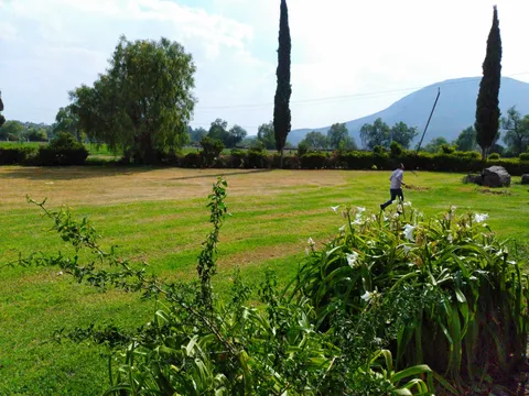 Salón y jardín " LA CRUZ" image 6