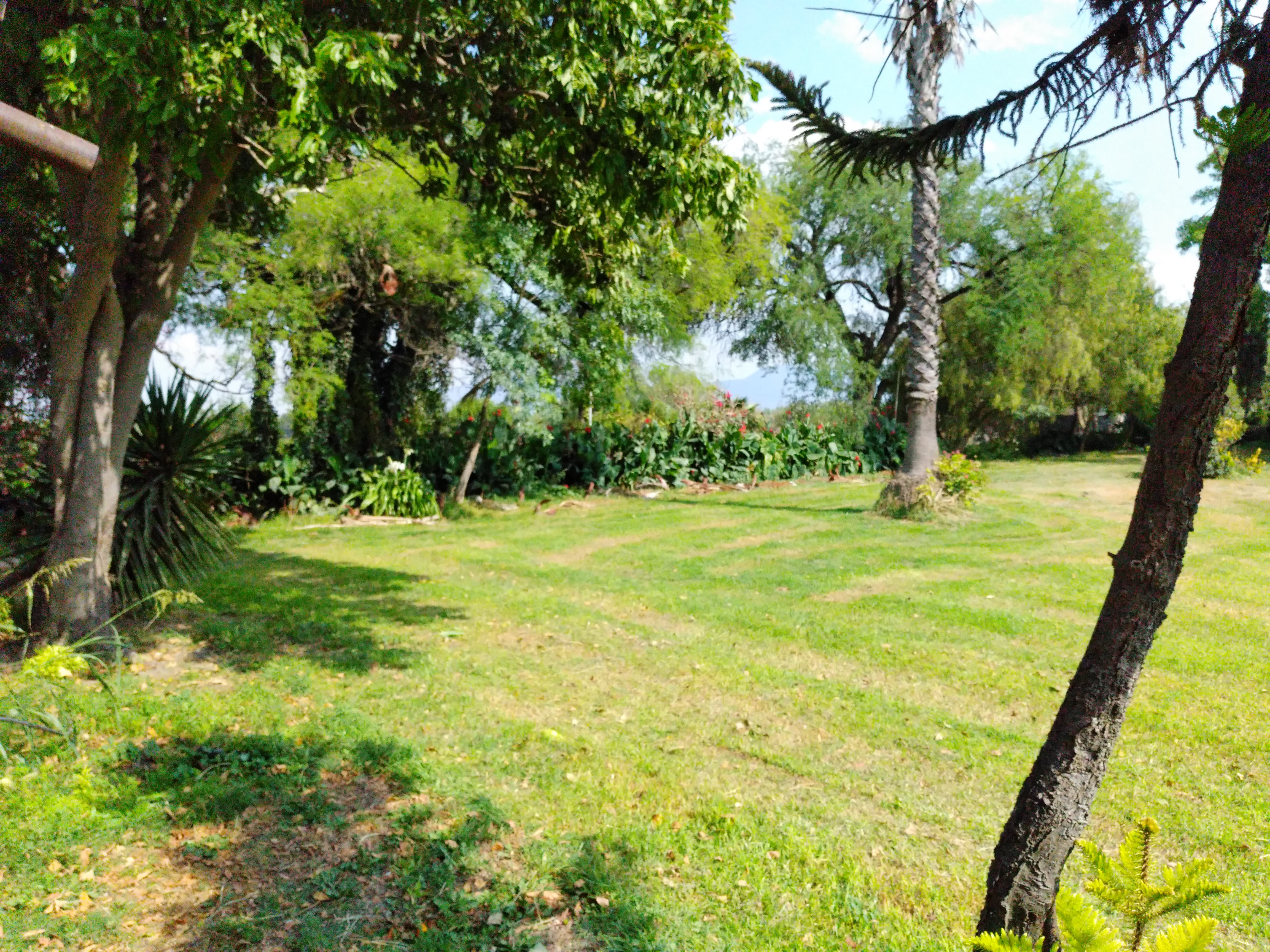Salón y jardín " LA CRUZ" image 8