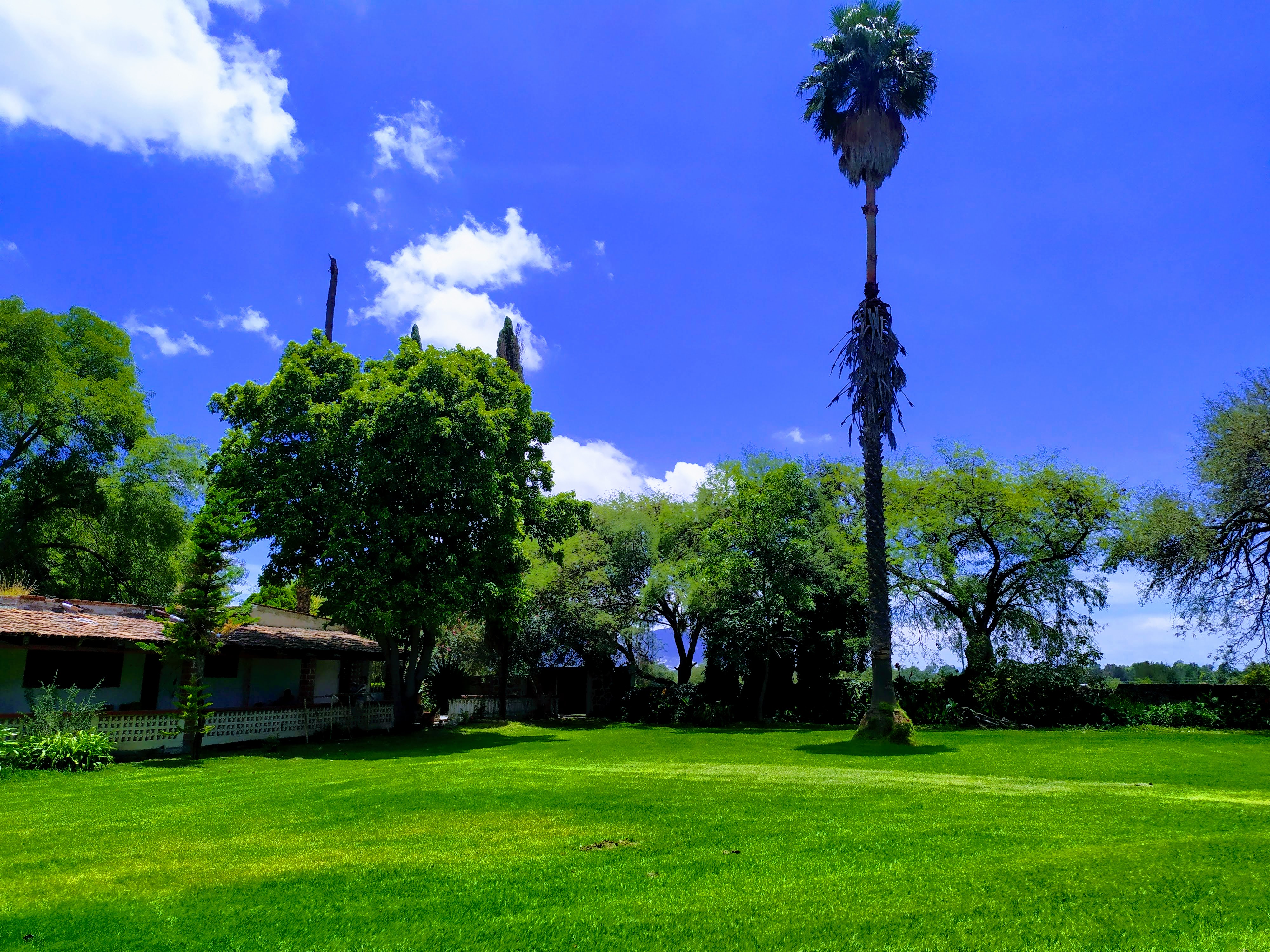 Salón y jardín " LA CRUZ" image 9