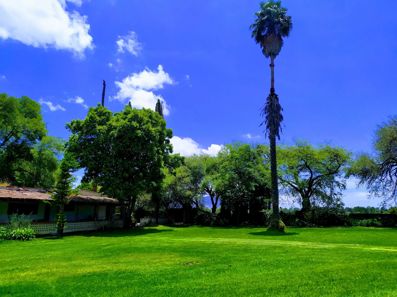 Salón y jardín " LA CRUZ" image 9