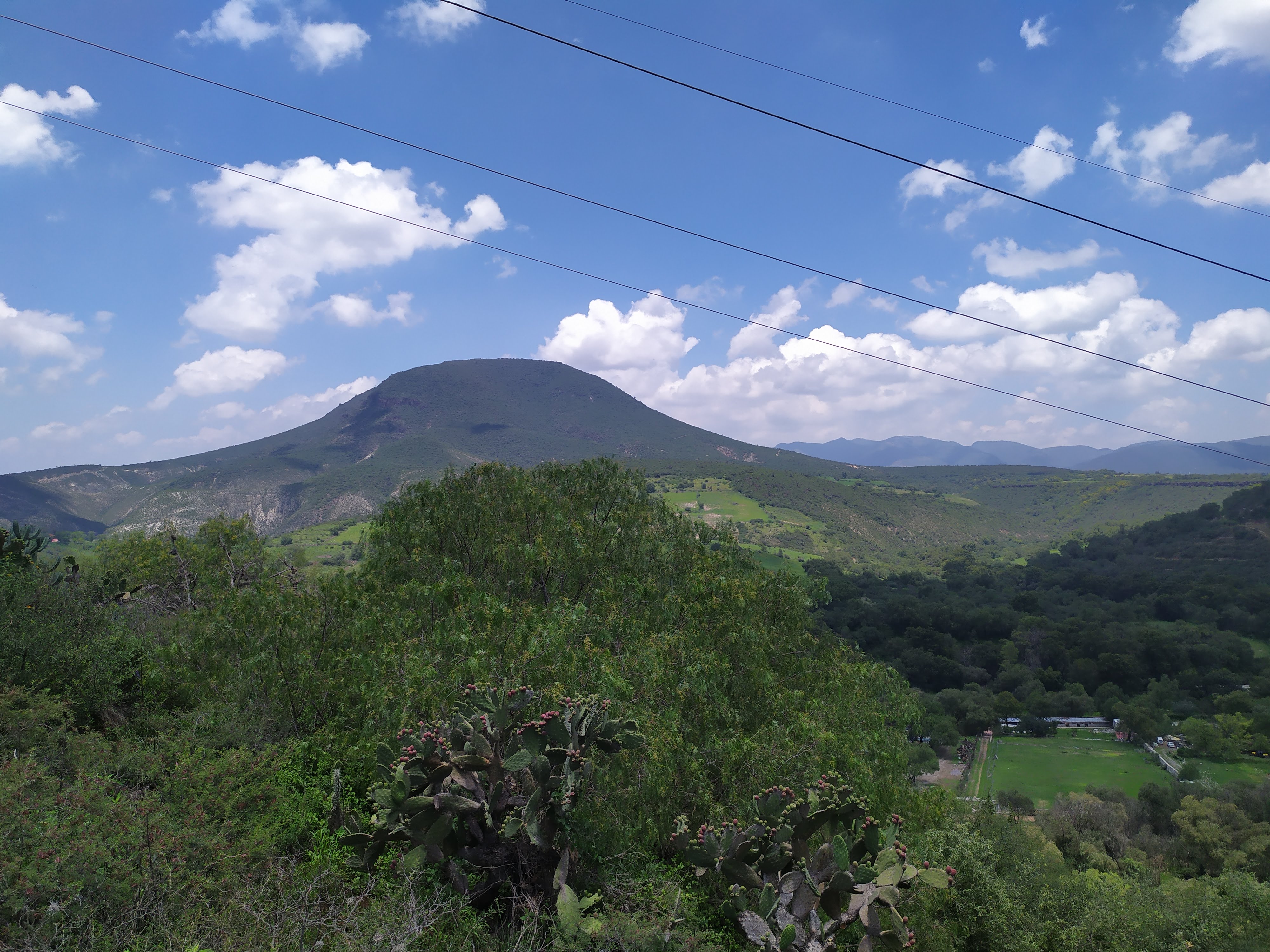 Salón y jardín " LA CRUZ" image 10