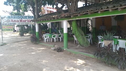 Restaurante y Marisqueria Ana Maria image 2
