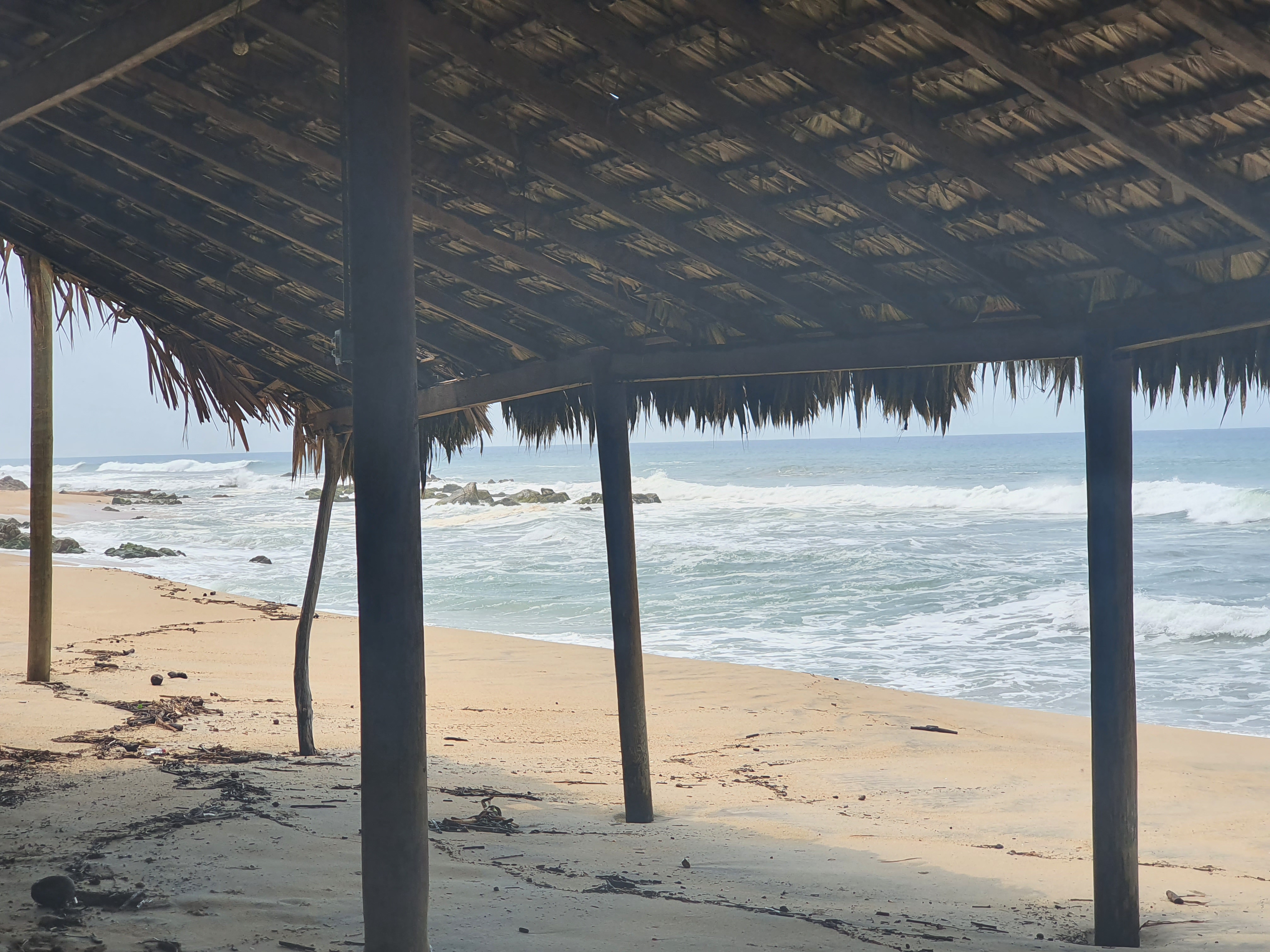 Las Palmeras Hotel y Restaurante image 5