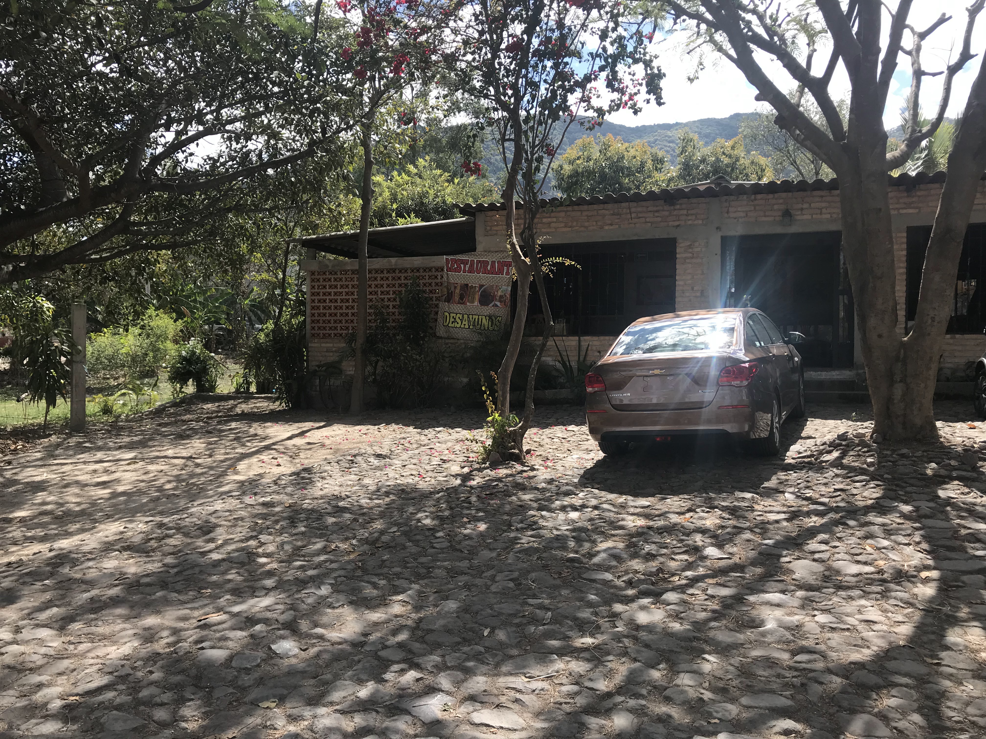 Restaurante Andrea image 2