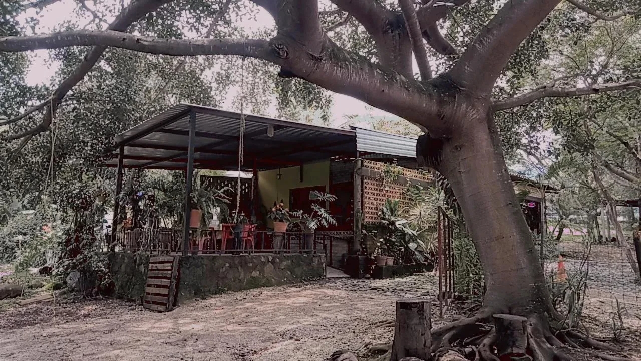 Restaurante Andrea image 3