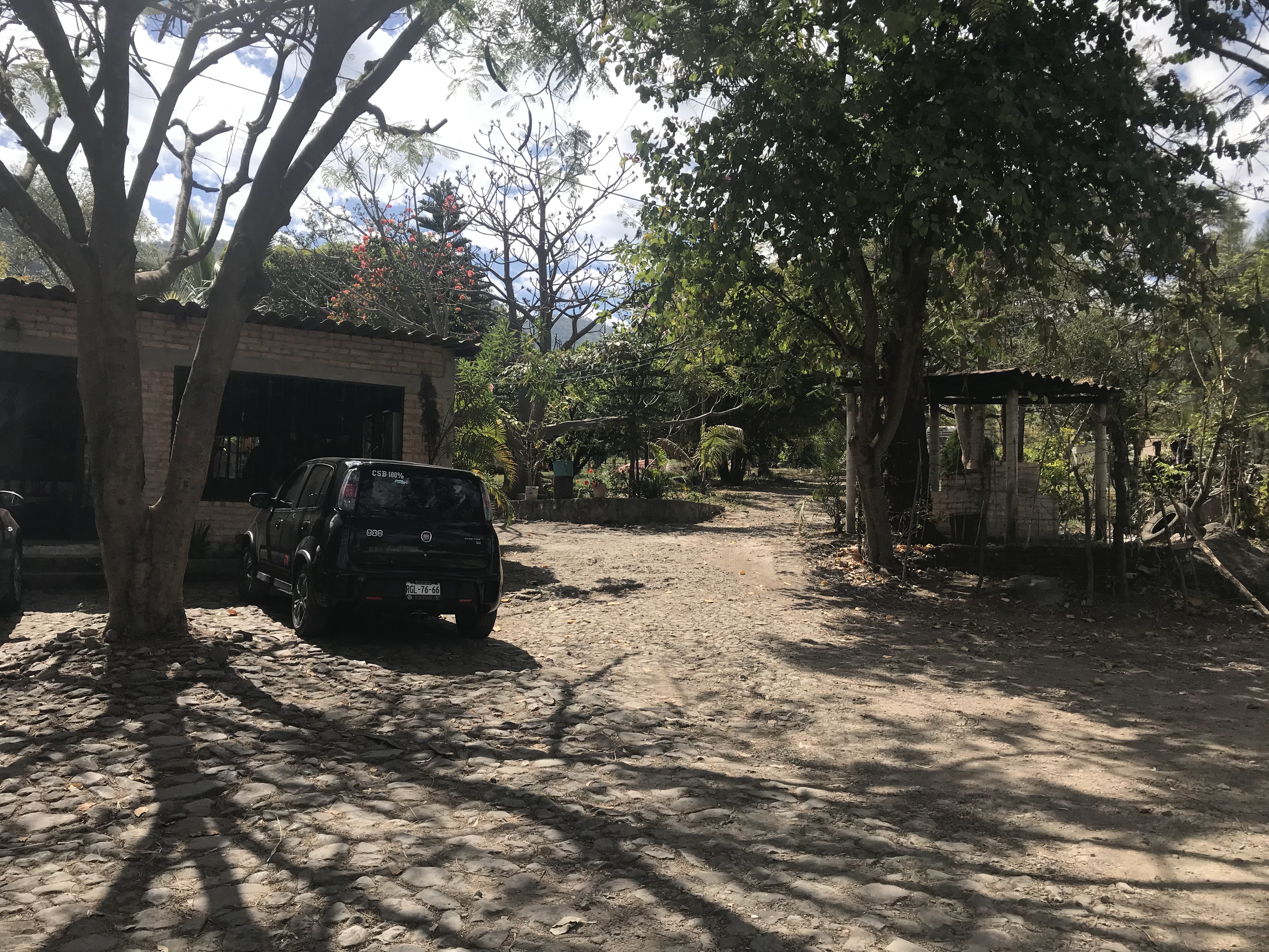 Restaurante Andrea image 5