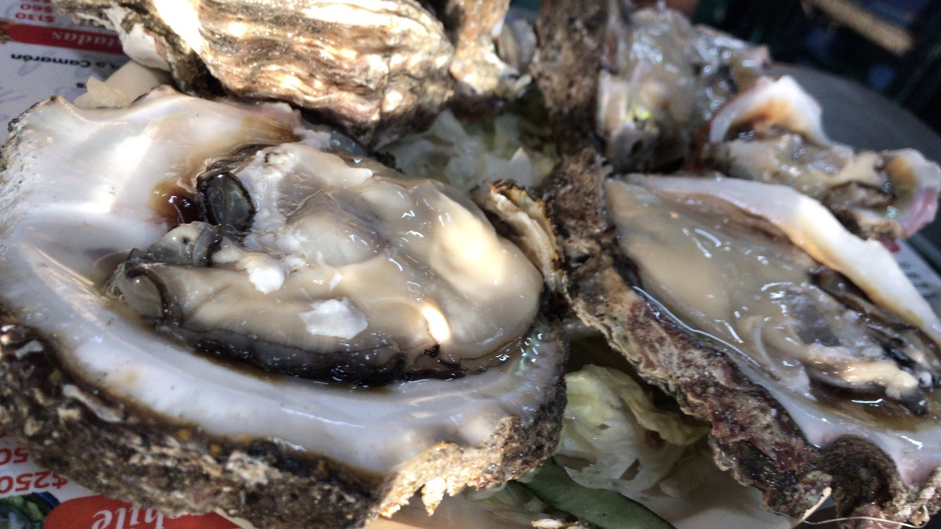 Mariscos Arellano image 2