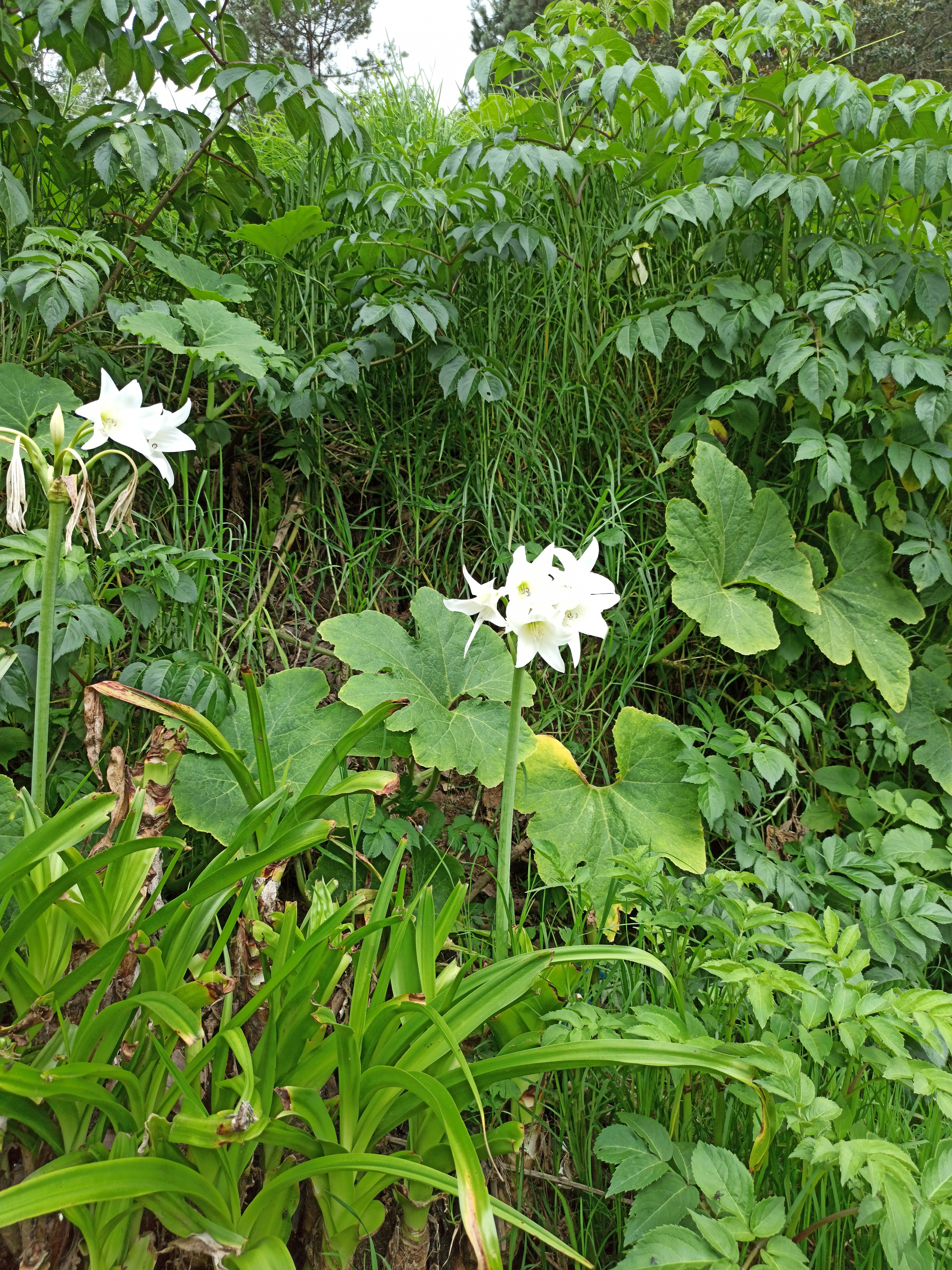 La casa de las empanadas image 2