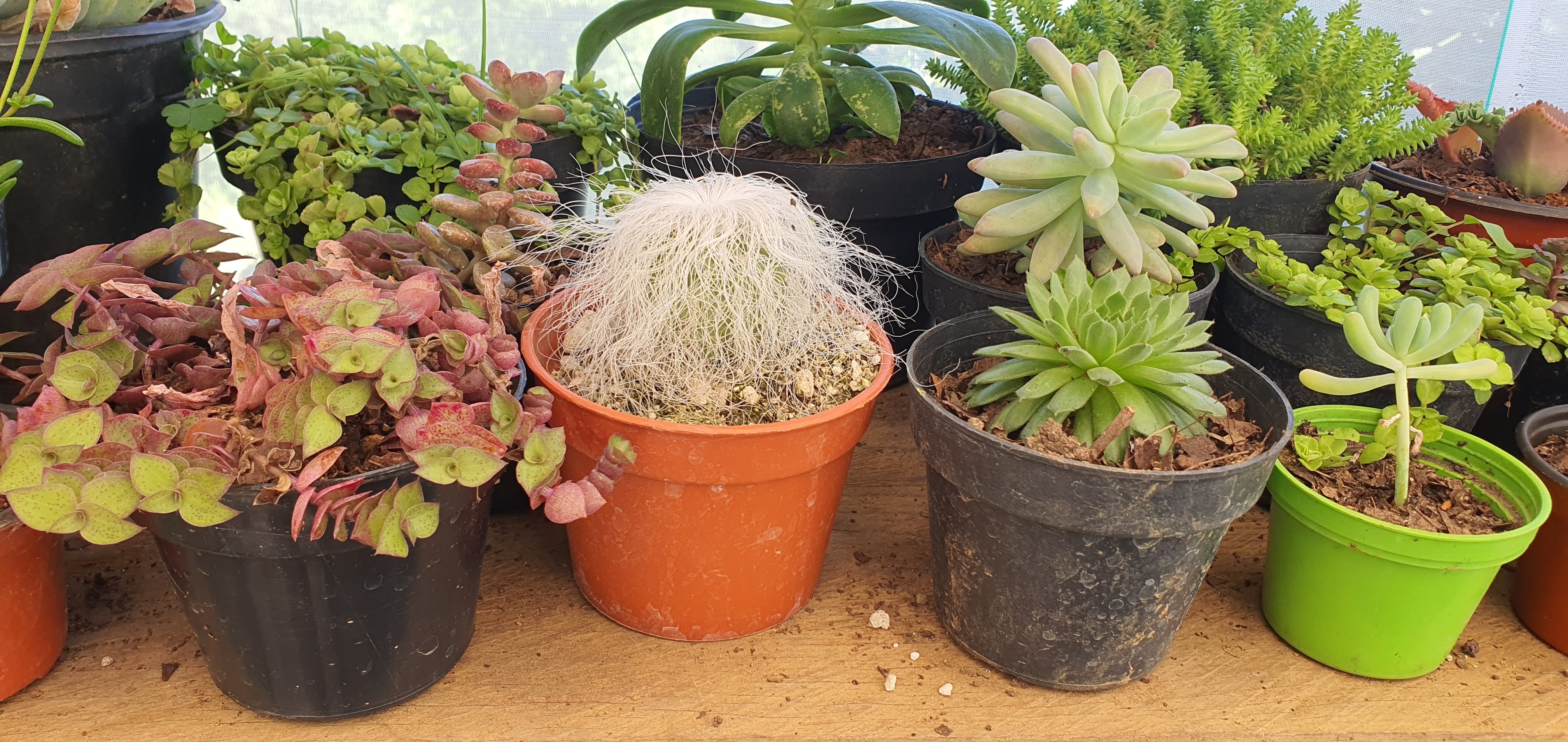 La casa de las empanadas image 4