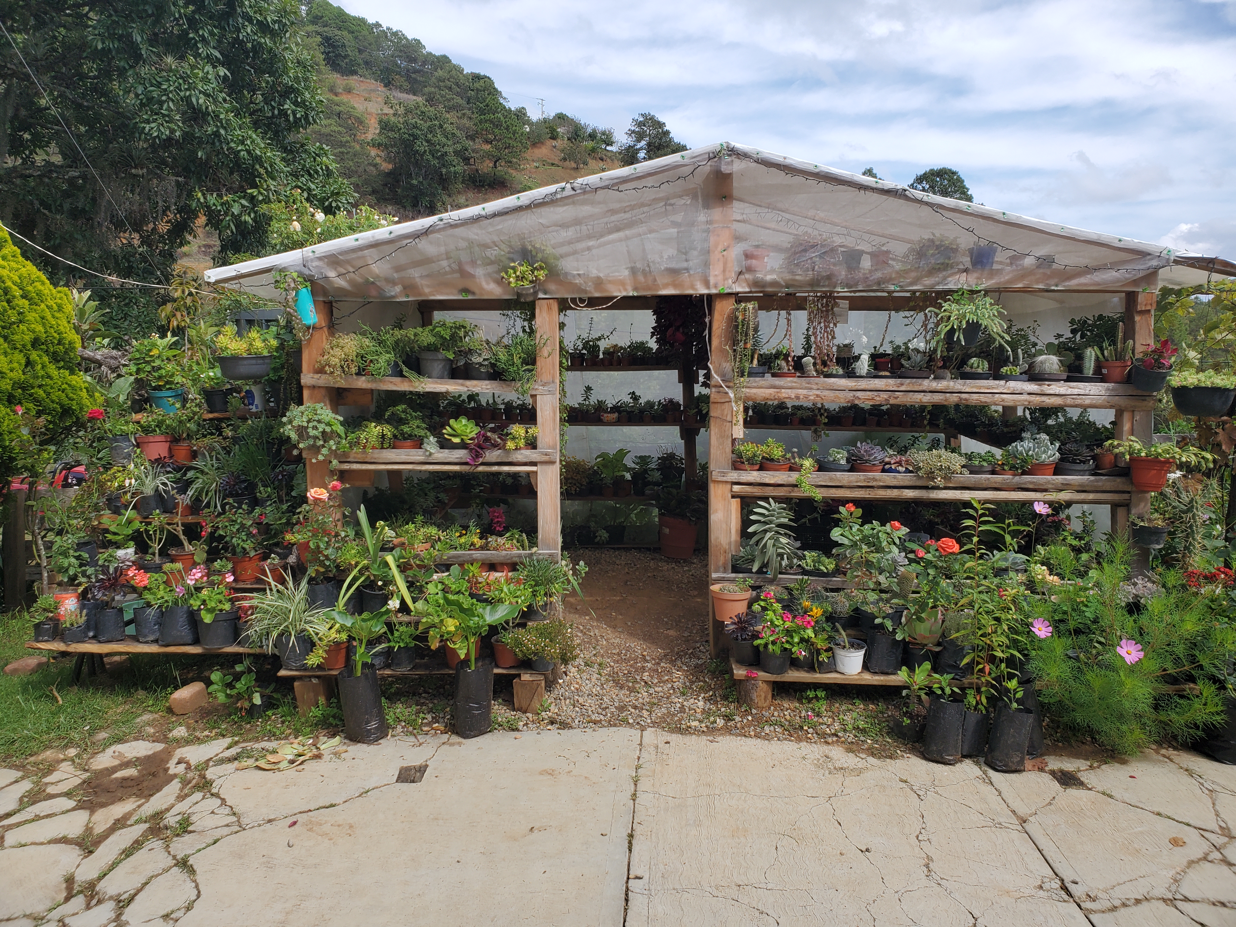 La casa de las empanadas image 5