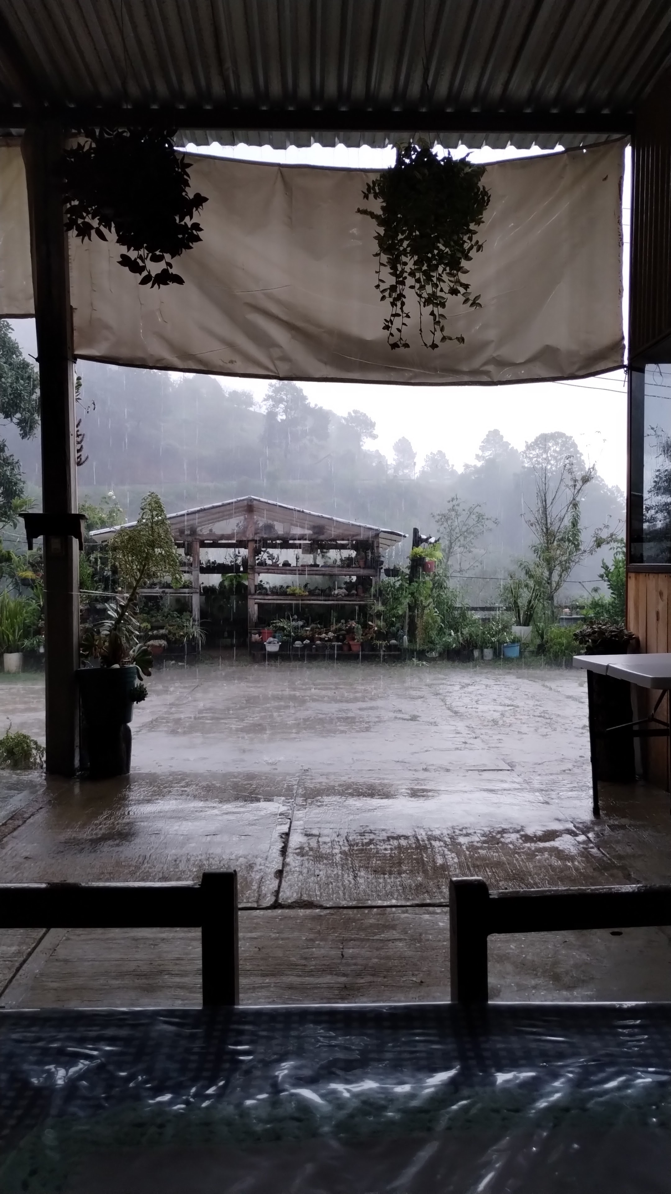 La casa de las empanadas image 8