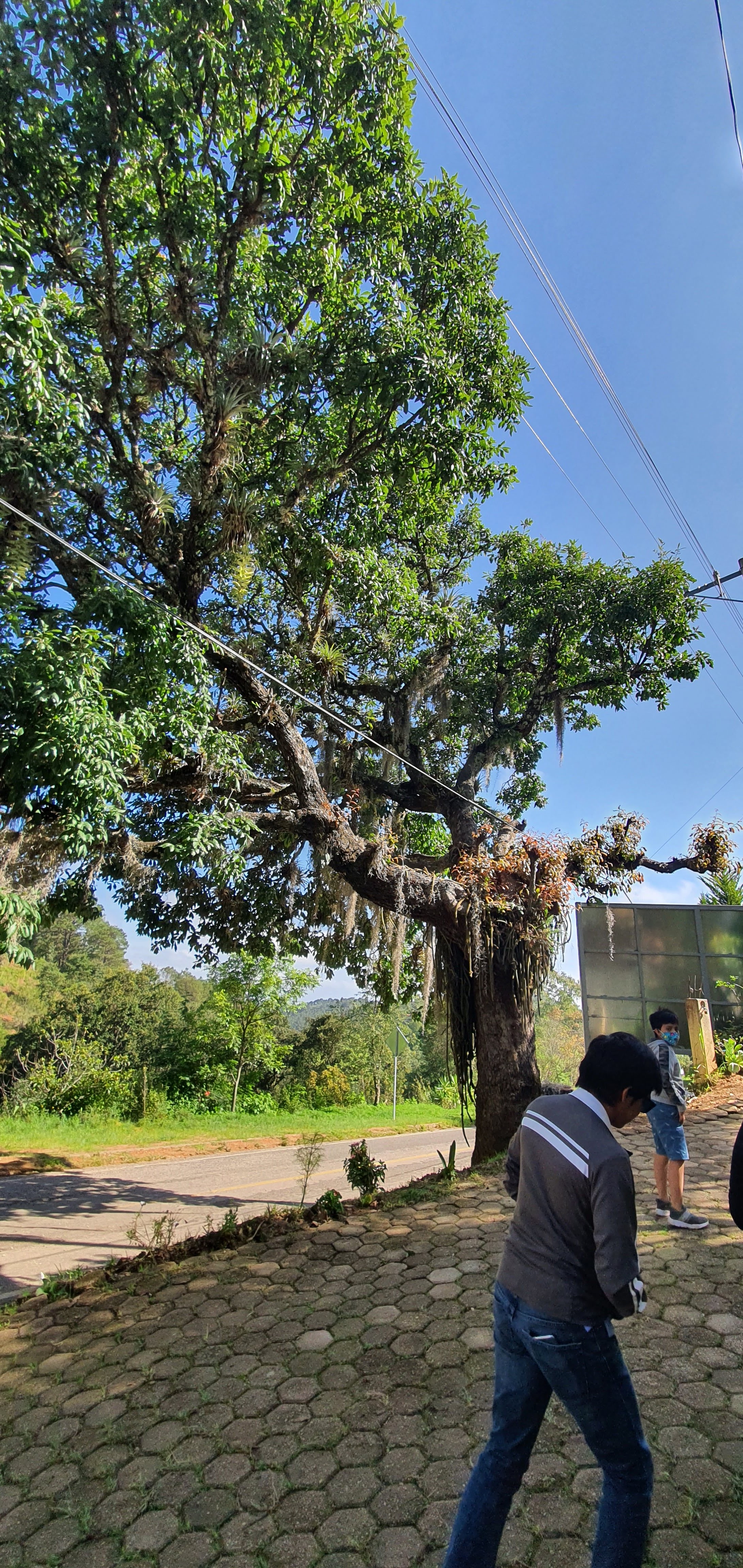 La casa de las empanadas image 10