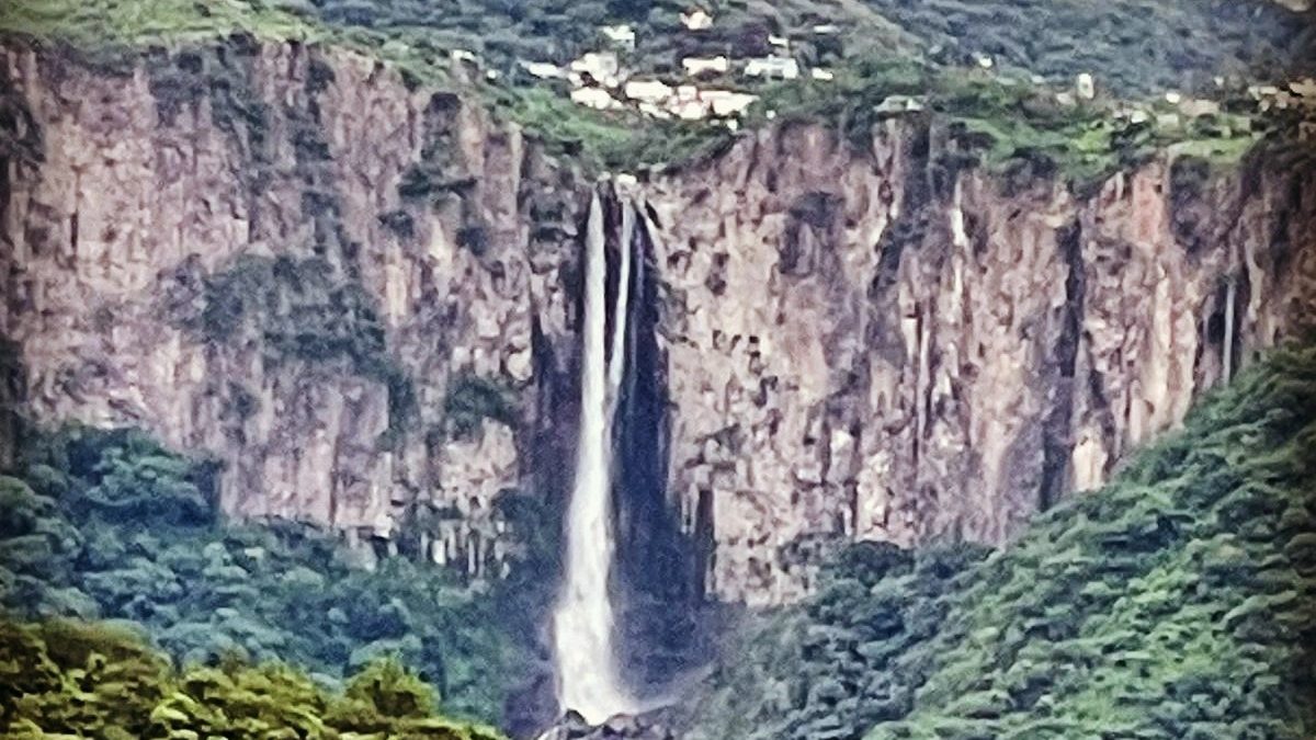 La Magueyera image 4