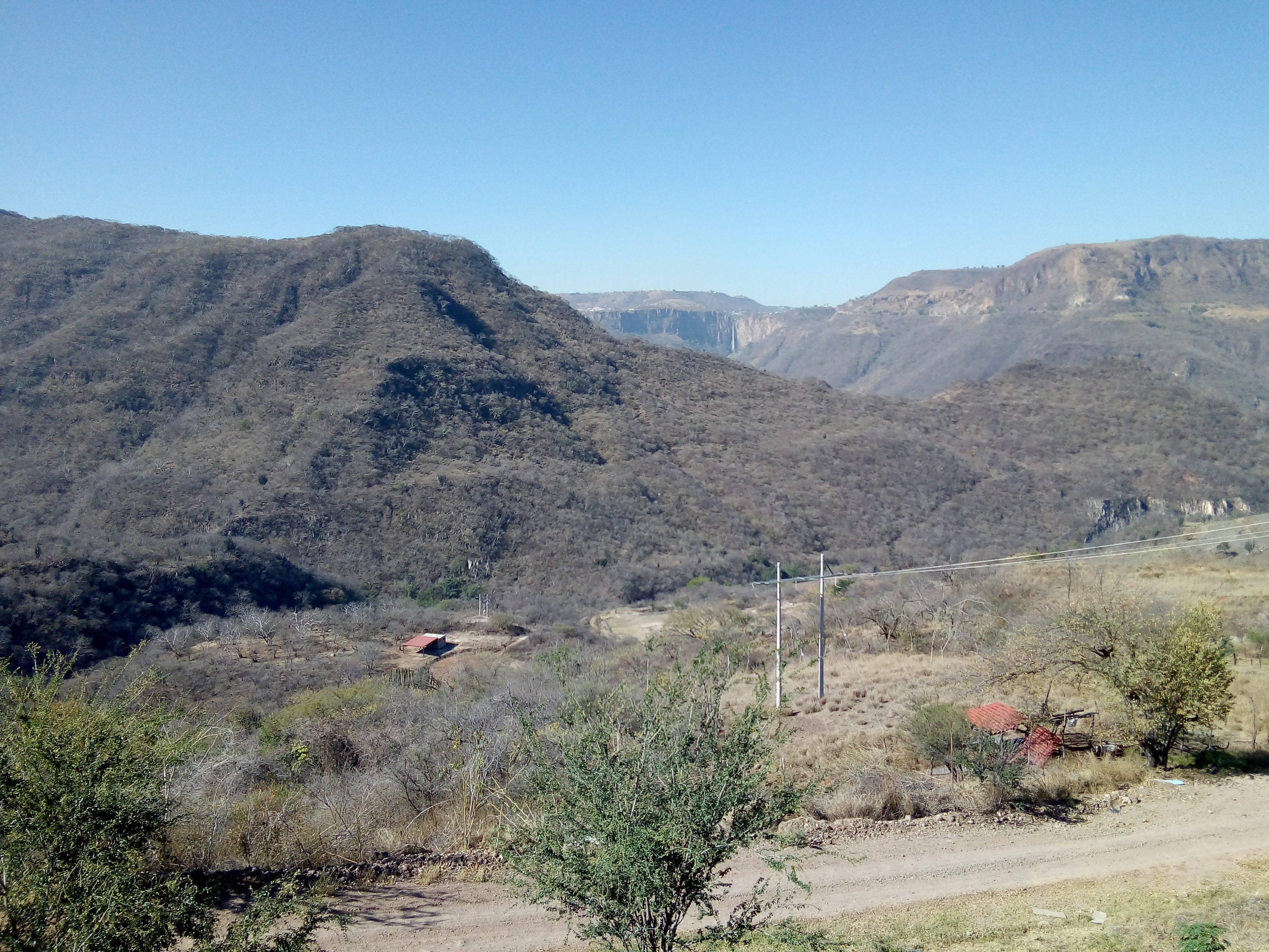 La Magueyera image 5