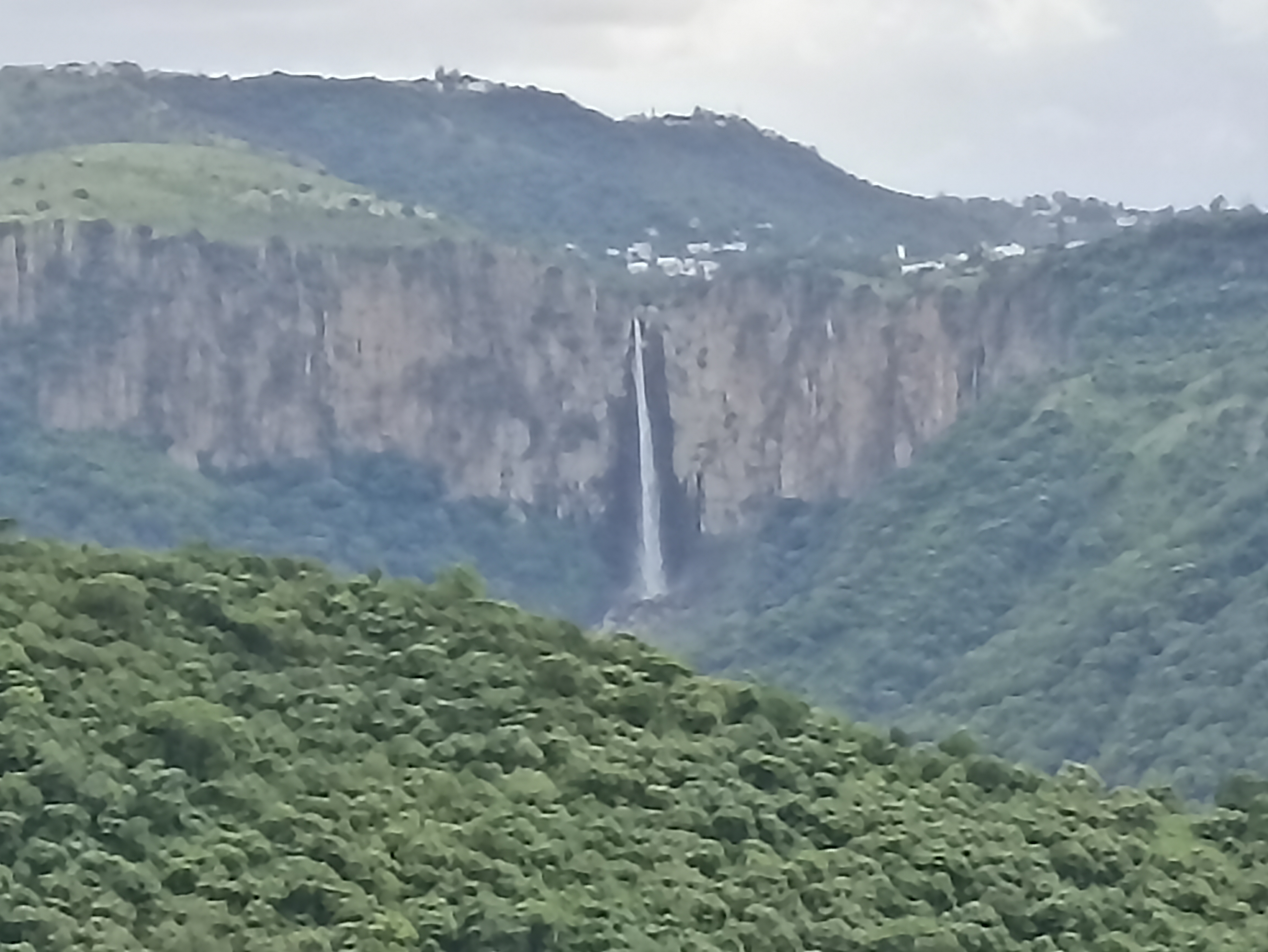 La Magueyera image 6