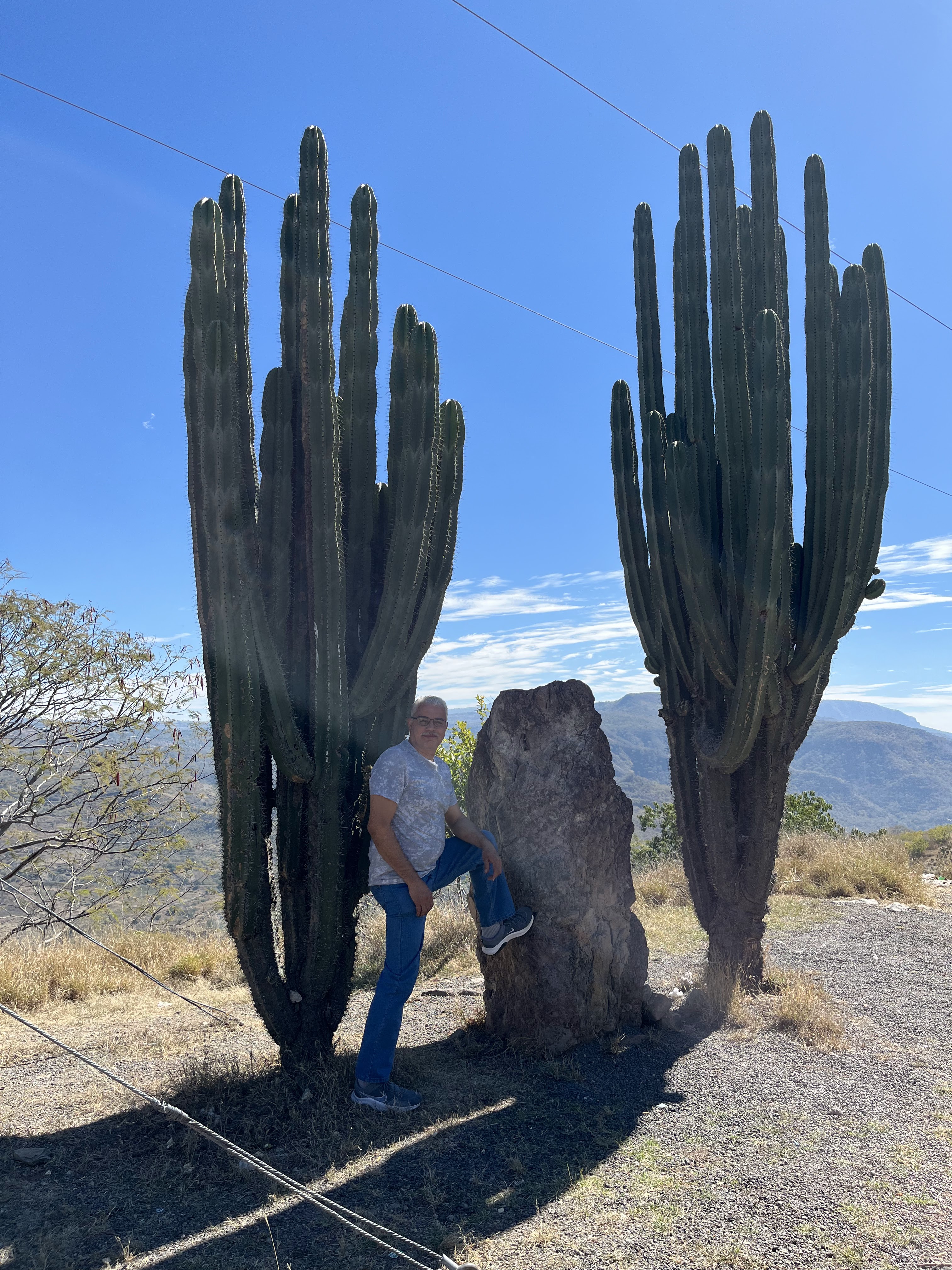 Oasis Mirador image 5