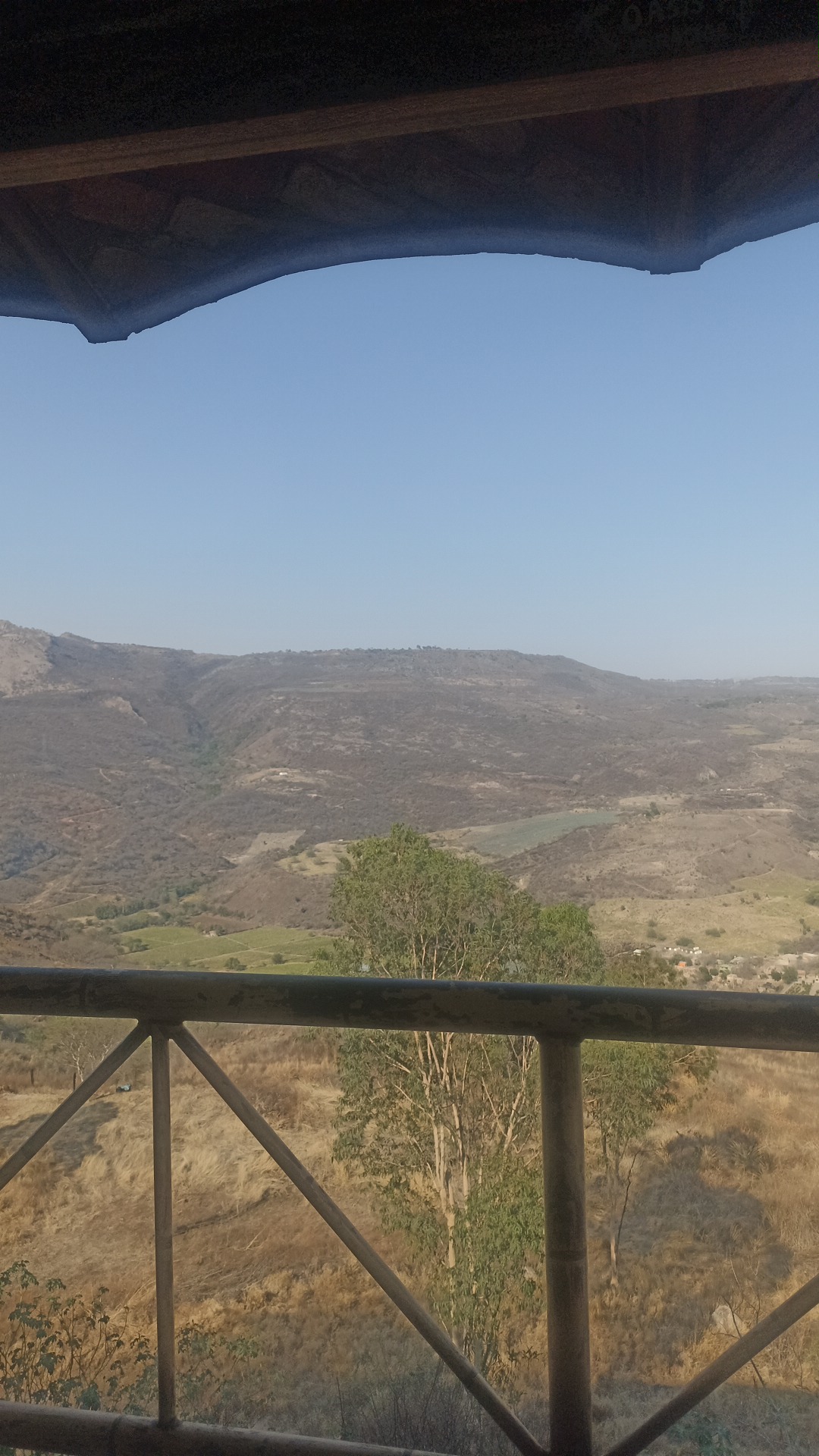 Oasis Mirador image 7