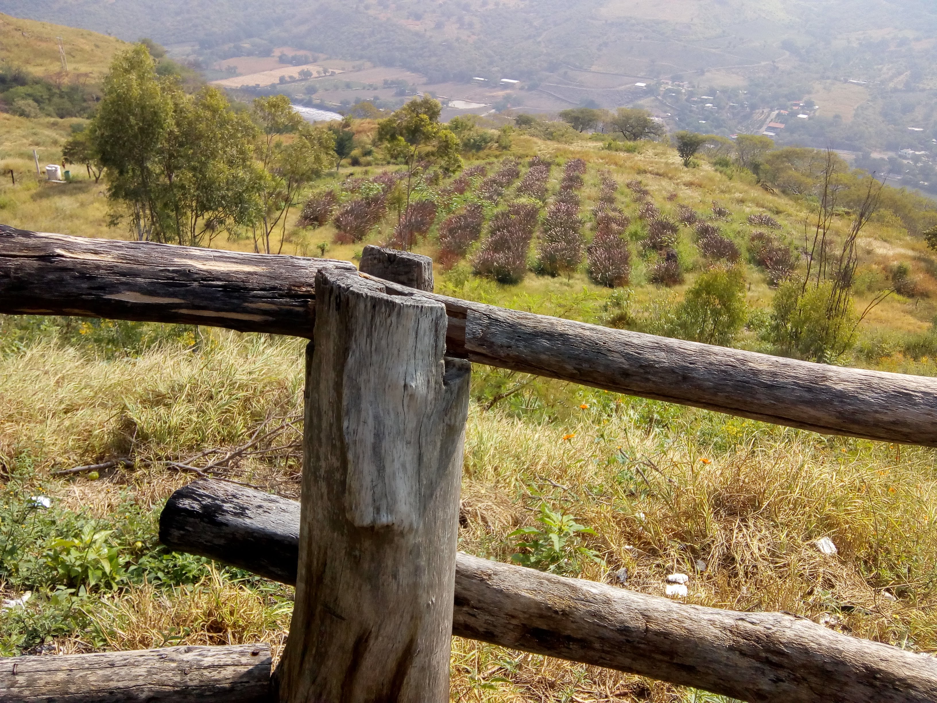 Oasis Mirador image 9