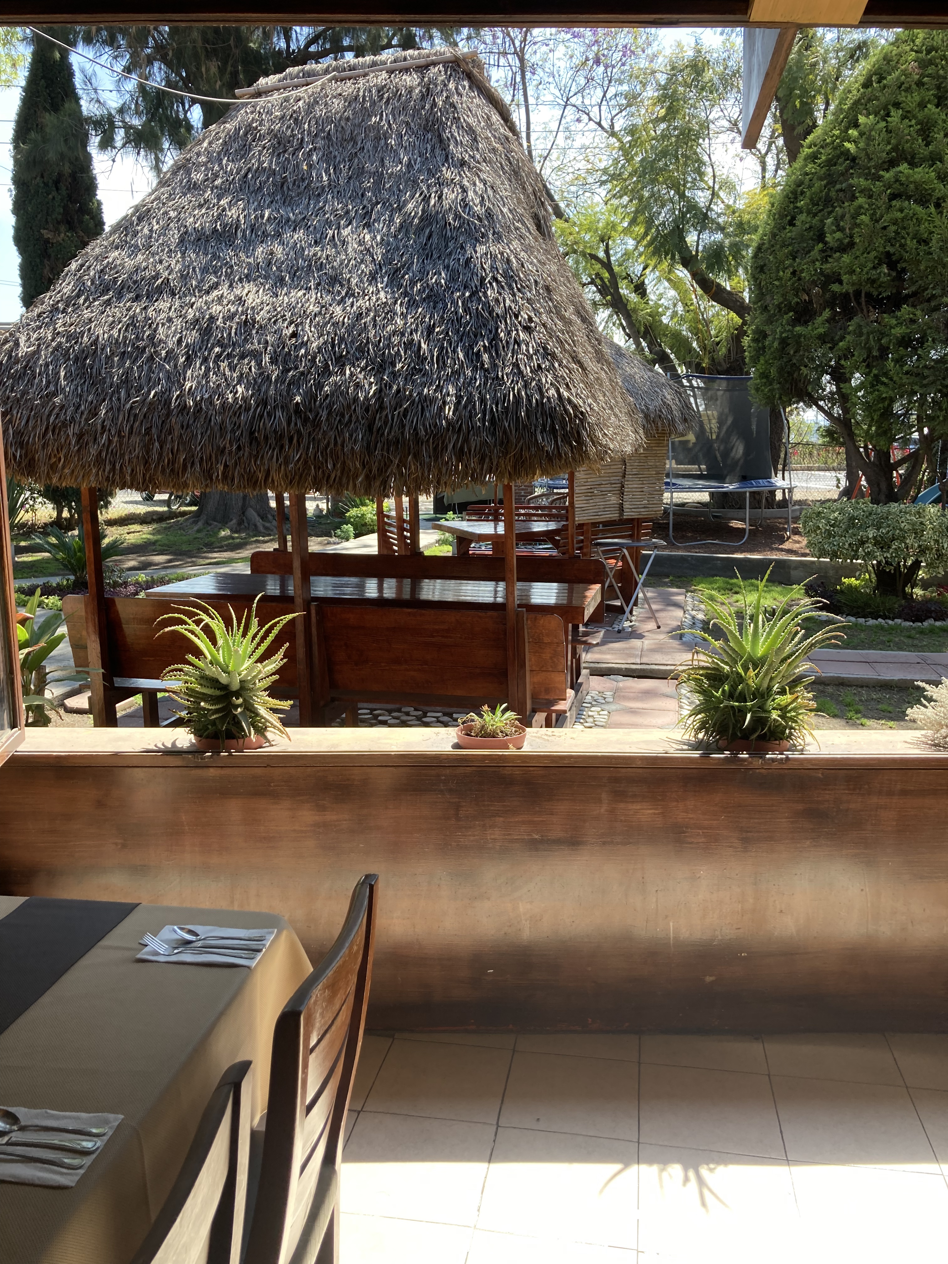 Sol de Agave image 1