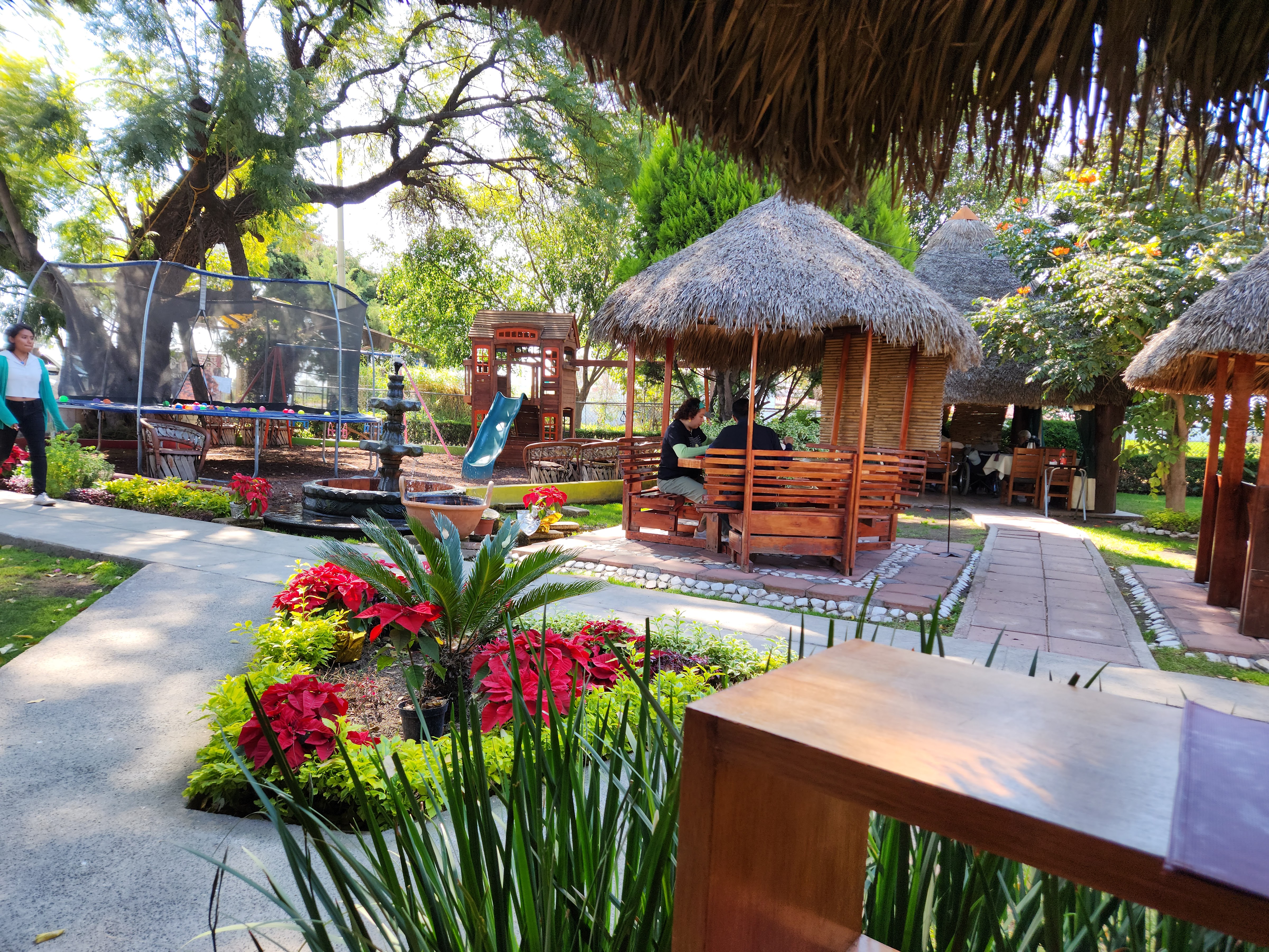 Sol de Agave image 4