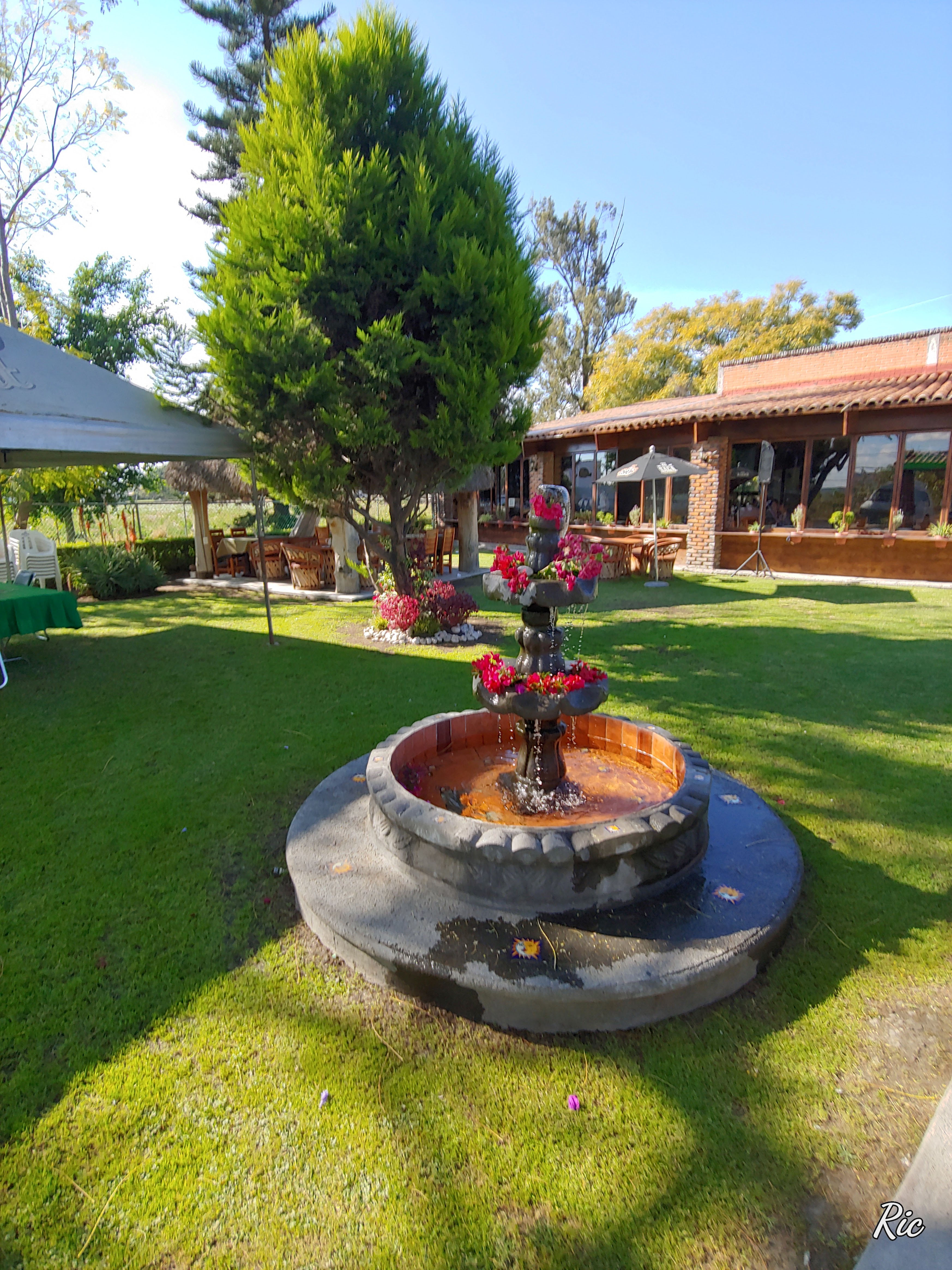 Sol de Agave image 7