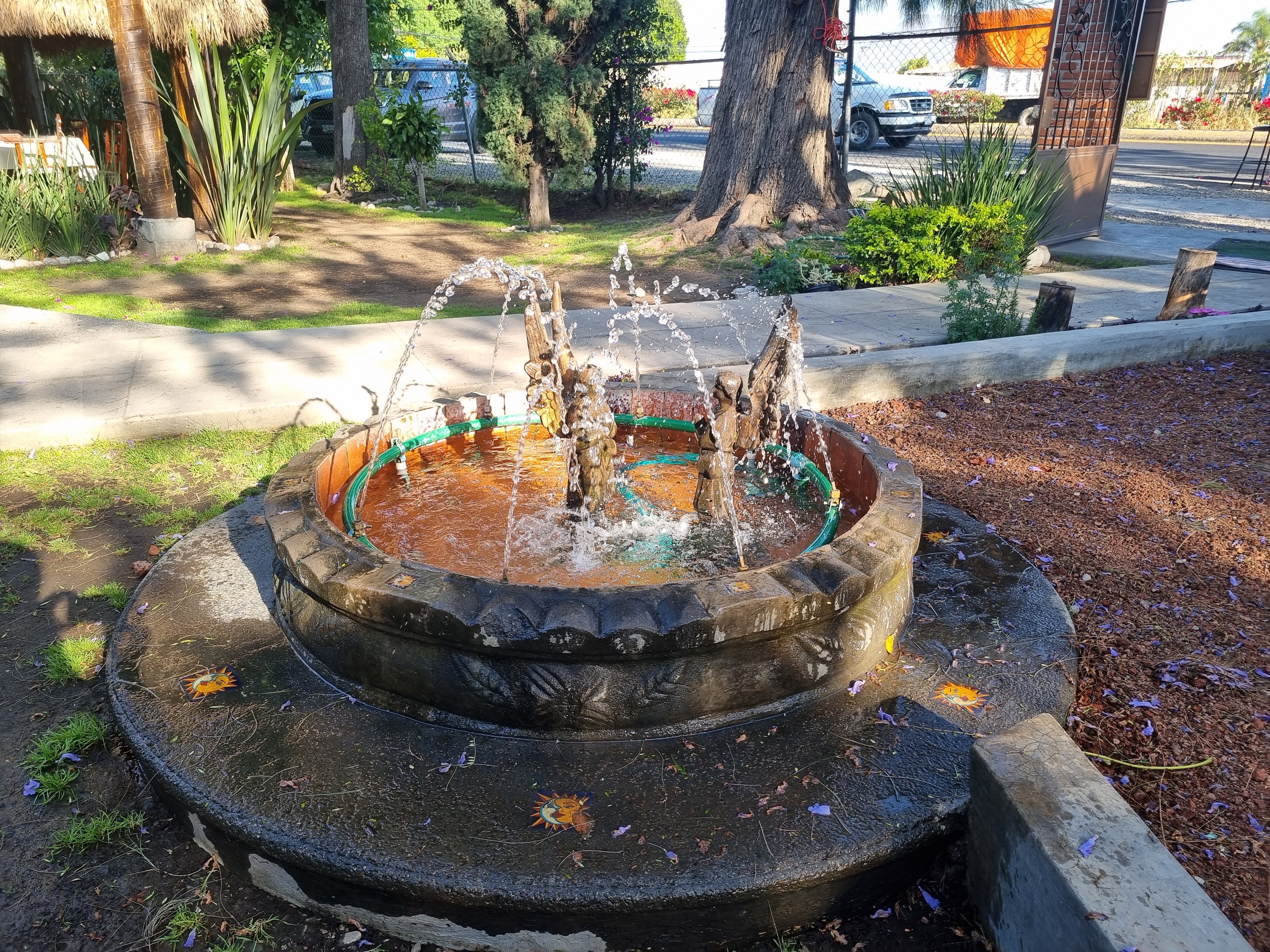 Sol de Agave image 8