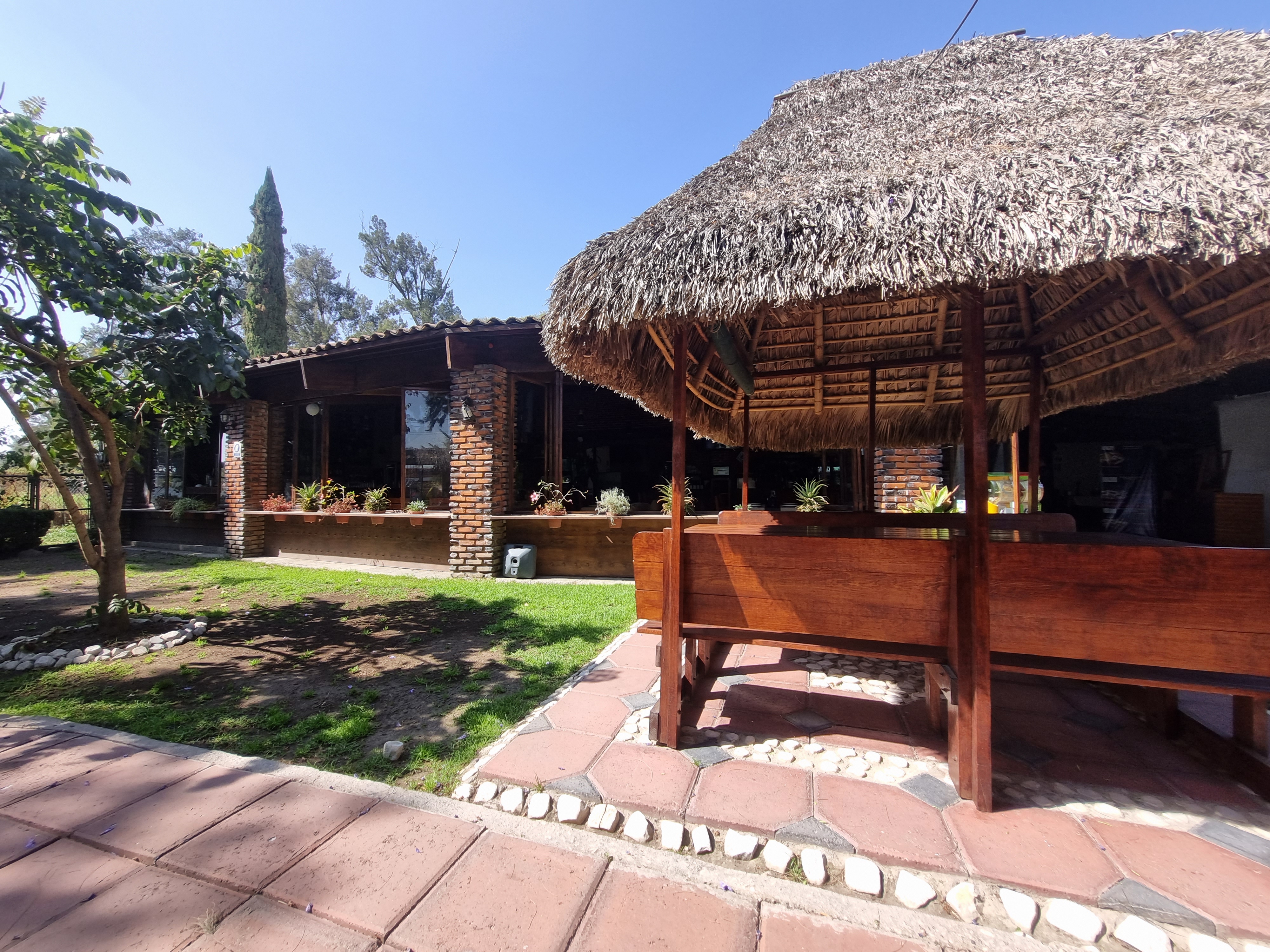 Sol de Agave image 9