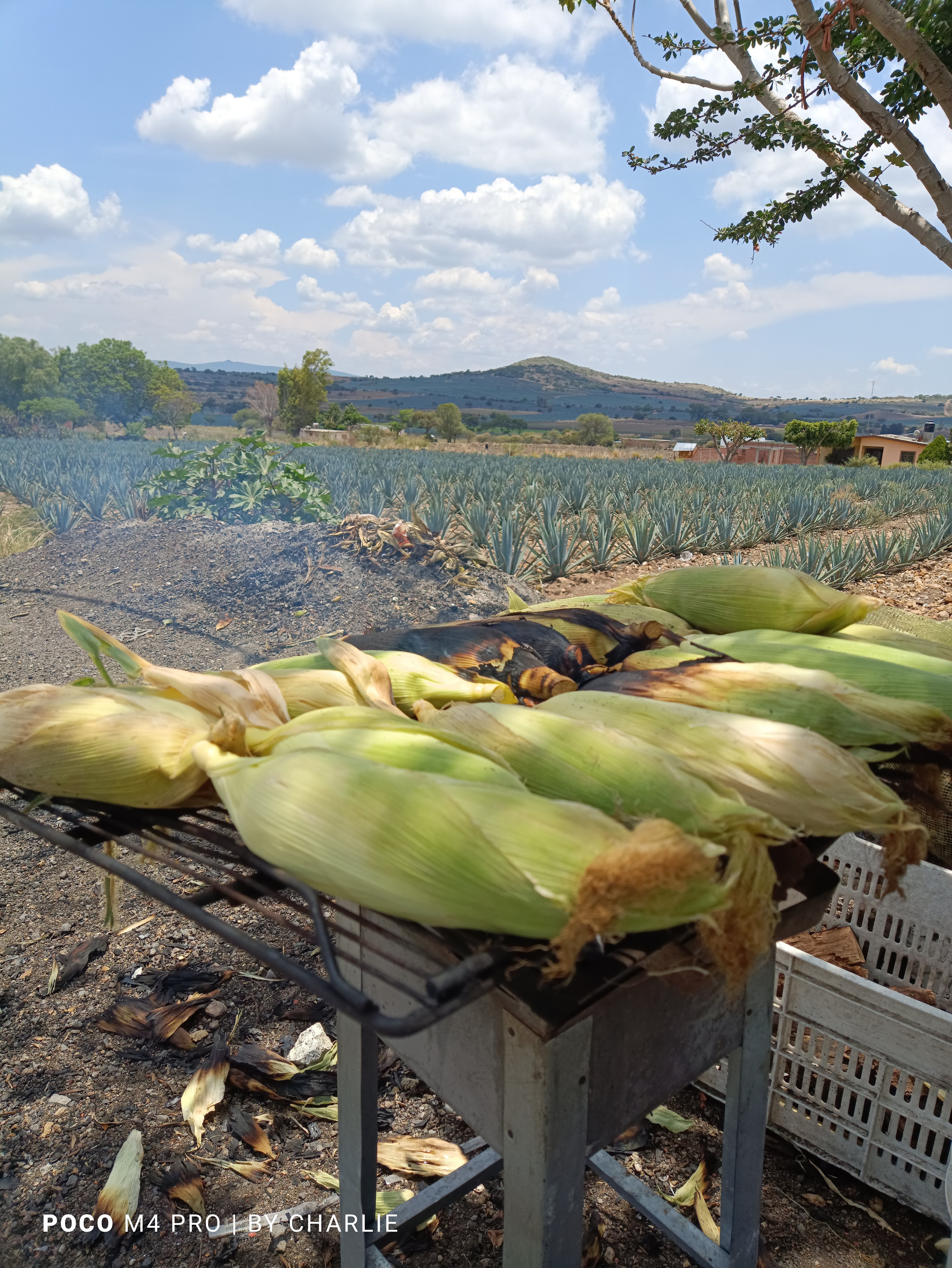 Deposito El Perico image 2