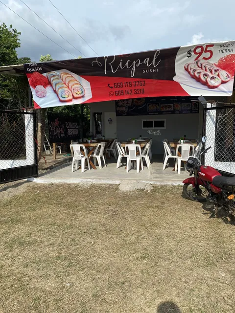 Ricpal sushi image 2