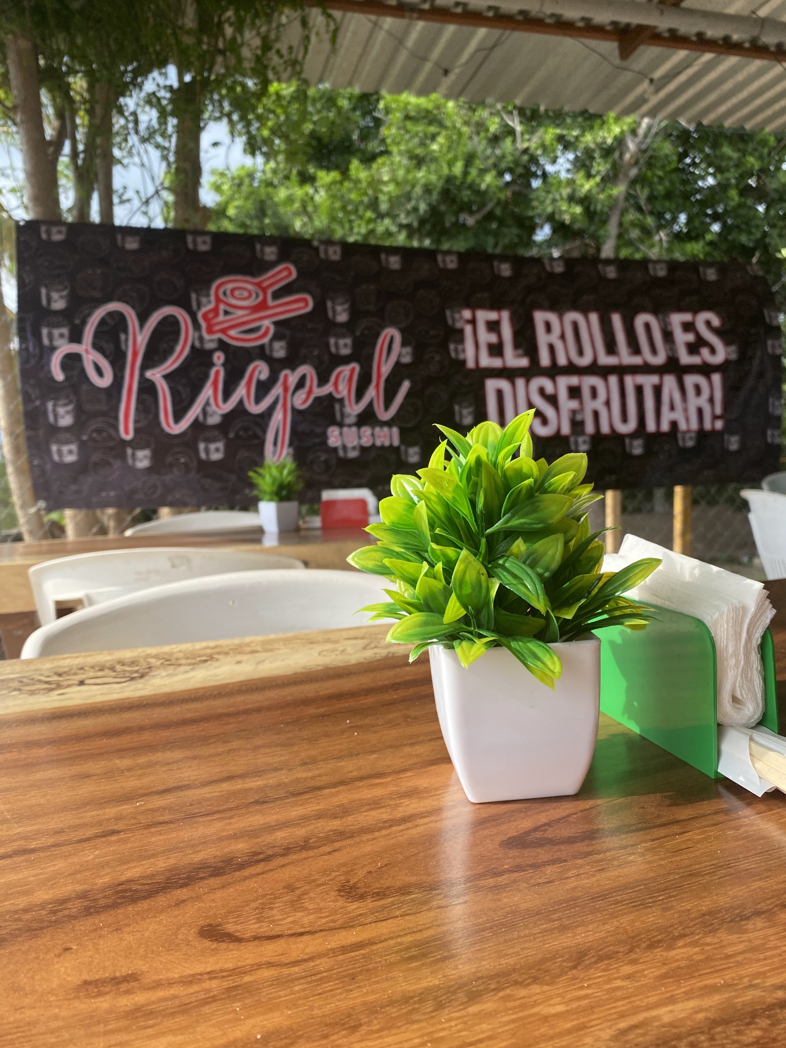 Ricpal sushi image 3