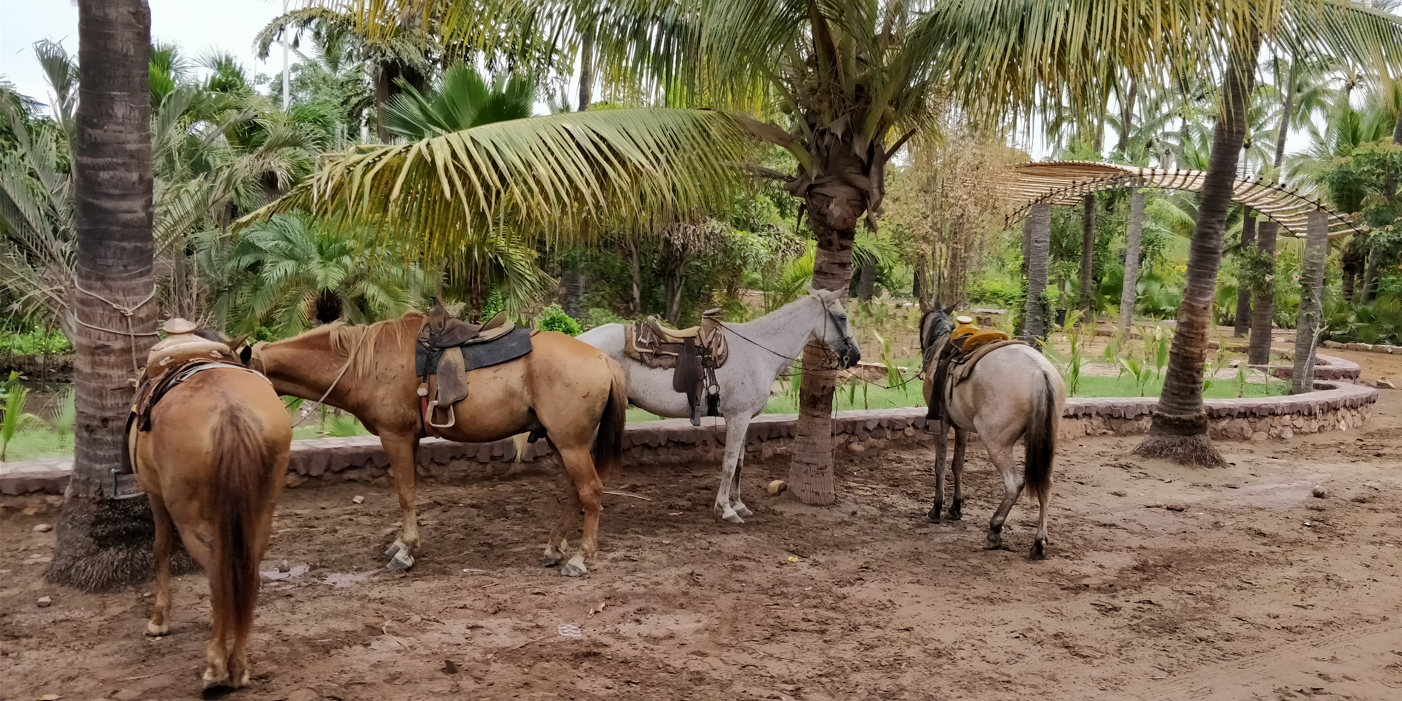 Restaurante Casa Cardon image 10