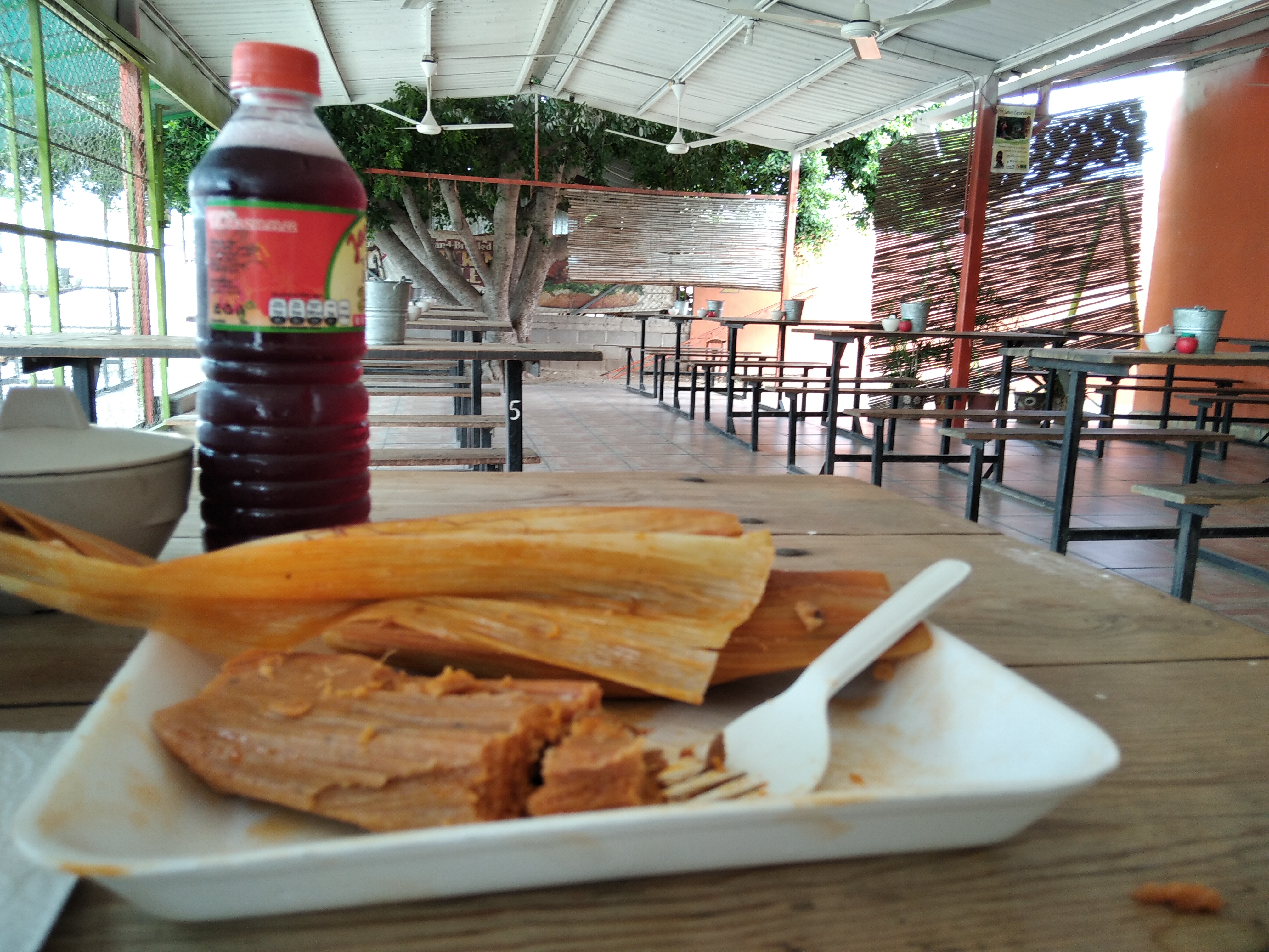 Restaurante "Doña Panchita" image 4