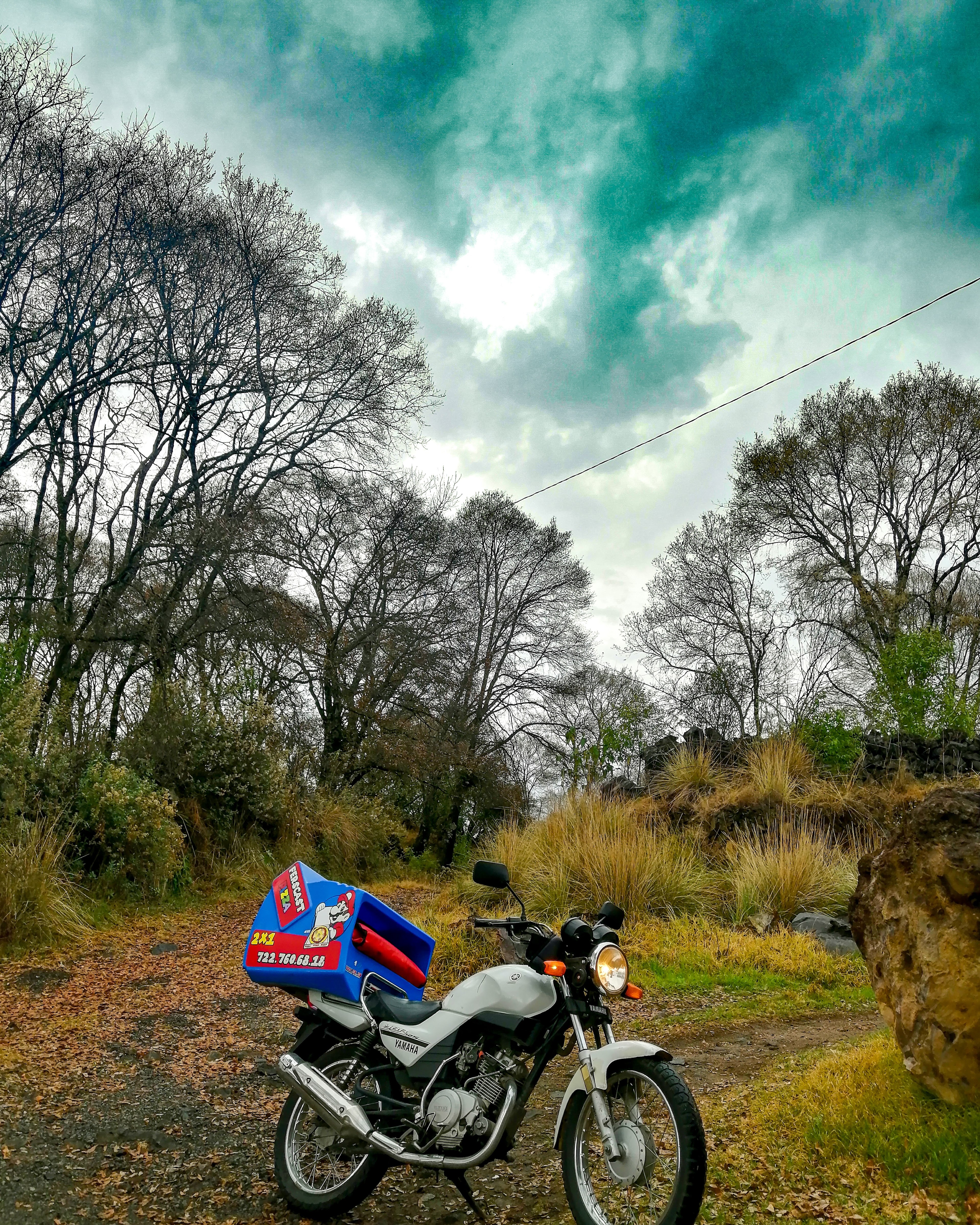 PIZZERIA FERS CAST image 5