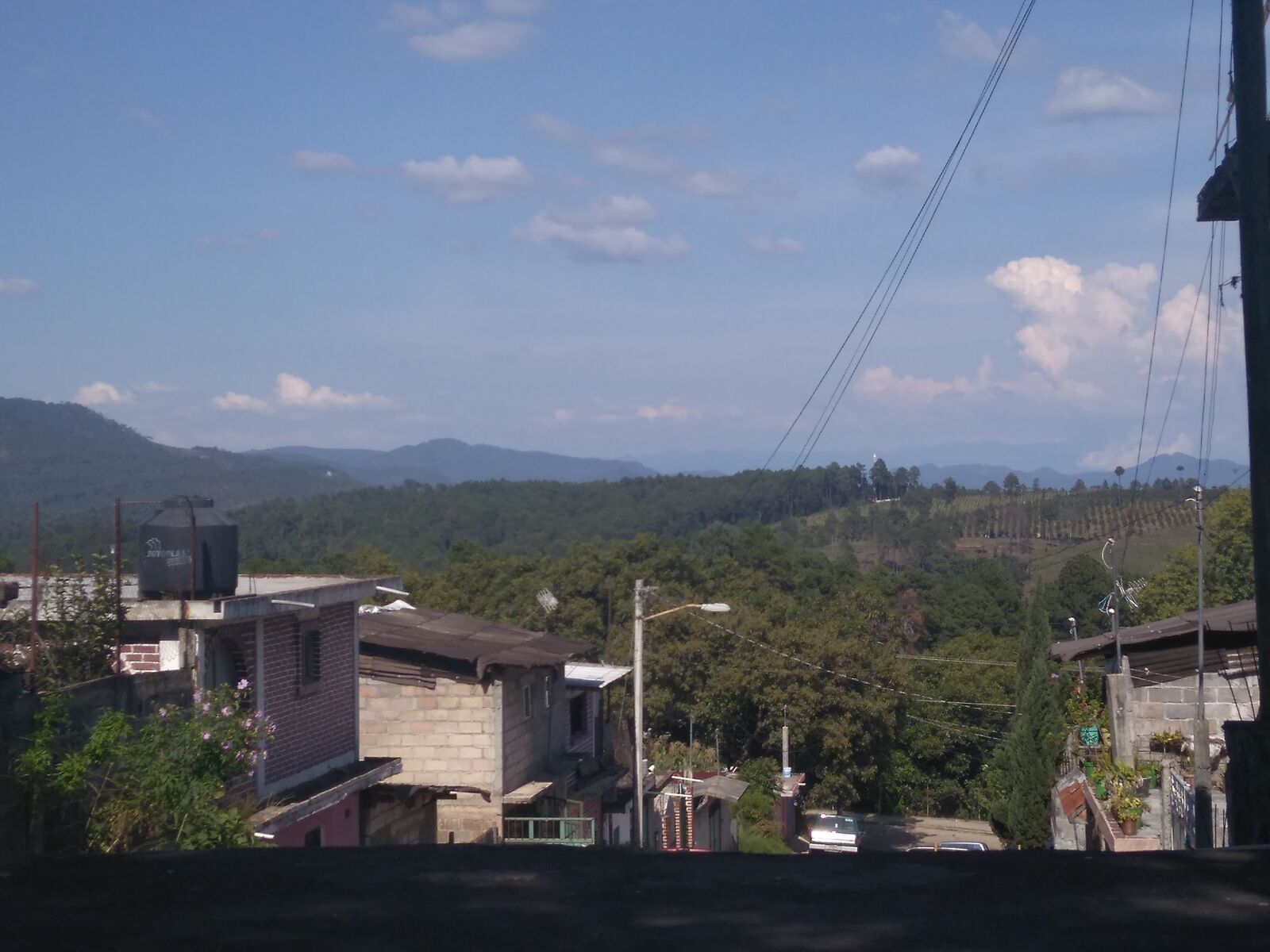 Taquería el primo image 5